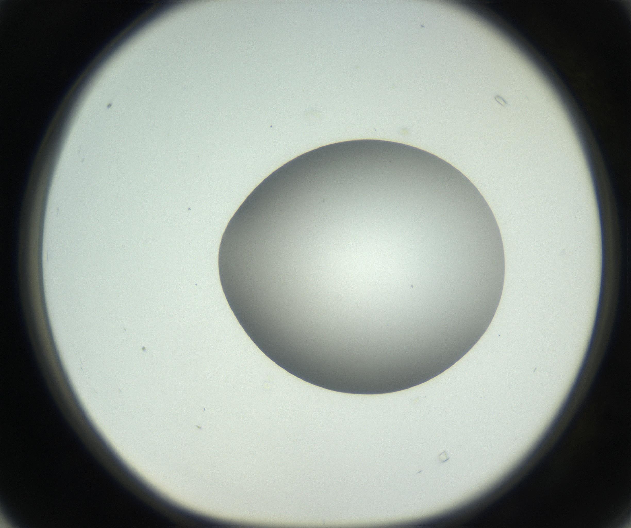 RI01_03_000_0212_Proj1_Clon1_MC_0000MC102736_004_160921_04_04_01_00_99_002_001_RAI.jpg