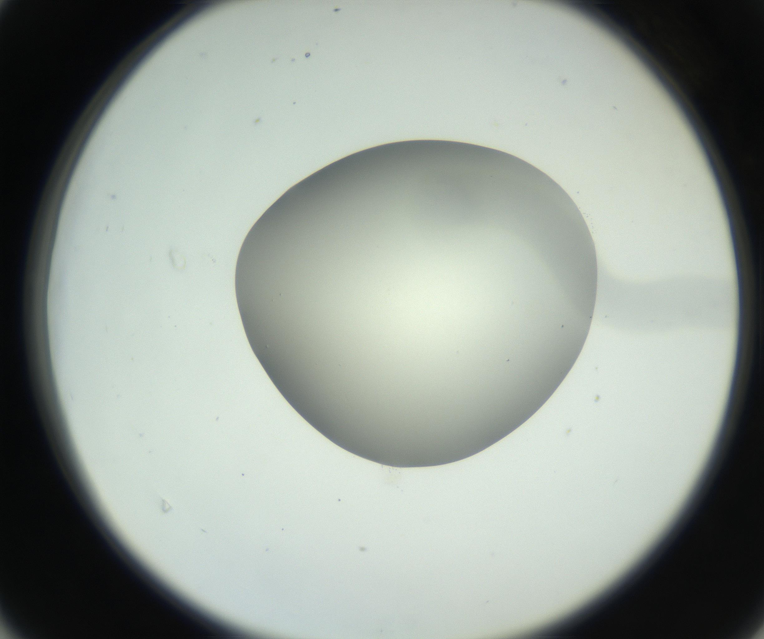 RI01_03_000_0212_Proj1_Clon1_MC_0000MC102736_004_160921_04_04_02_00_99_002_001_RAI.jpg