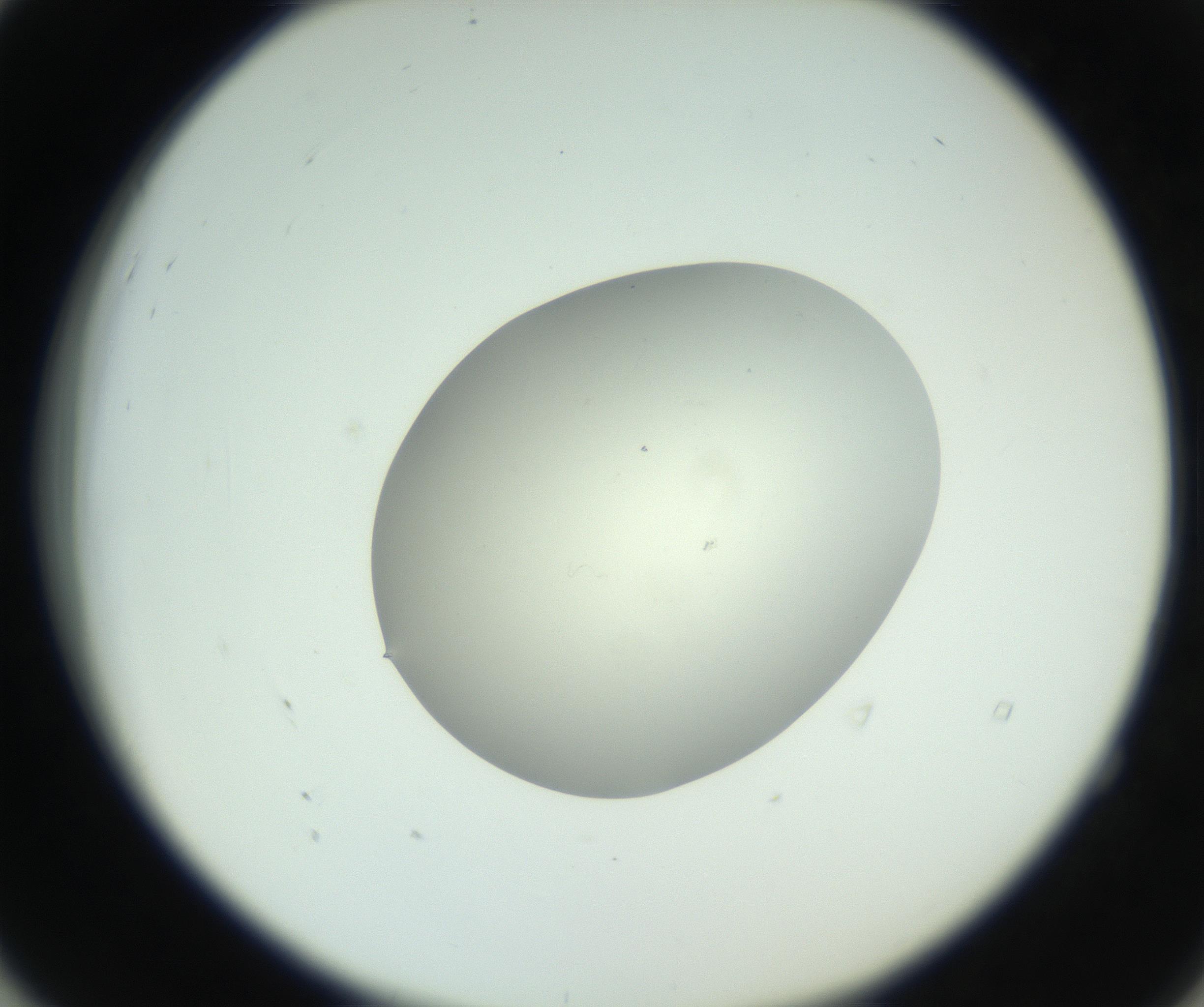 RI01_03_000_0212_Proj1_Clon1_MC_0000MC102736_004_160921_04_05_02_00_99_002_001_RAI.jpg