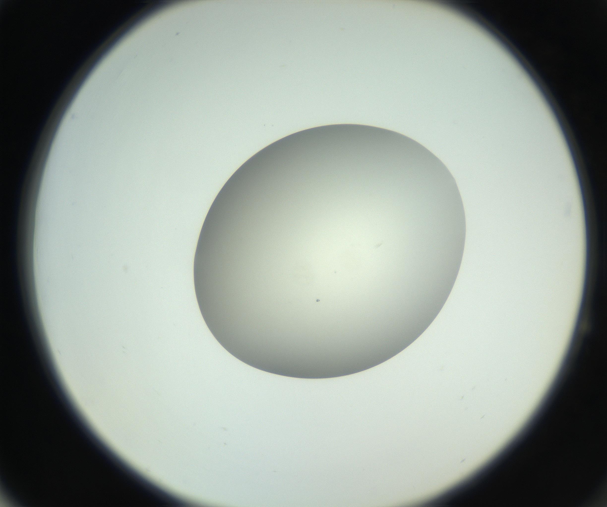 RI01_03_000_0212_Proj1_Clon1_MC_0000MC102736_004_160921_04_06_02_00_99_002_001_RAI.jpg
