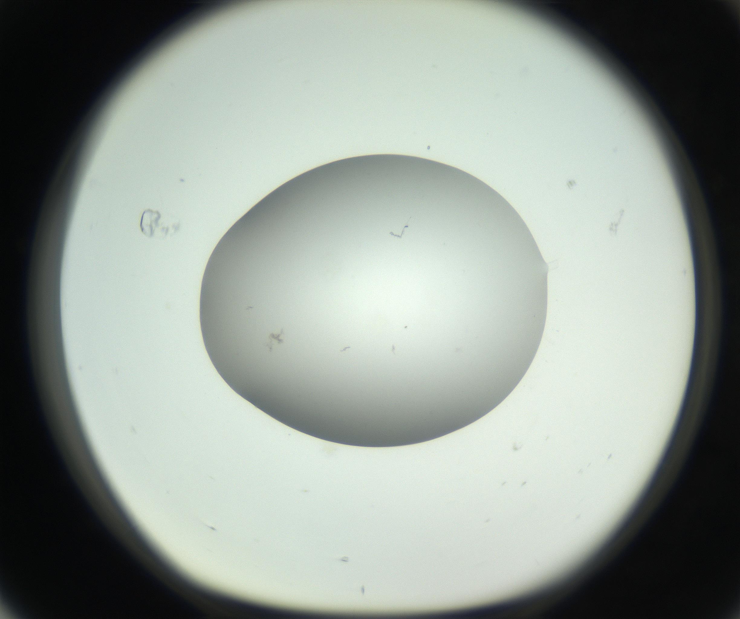 RI01_03_000_0212_Proj1_Clon1_MC_0000MC102736_004_160921_04_07_01_00_99_002_001_RAI.jpg