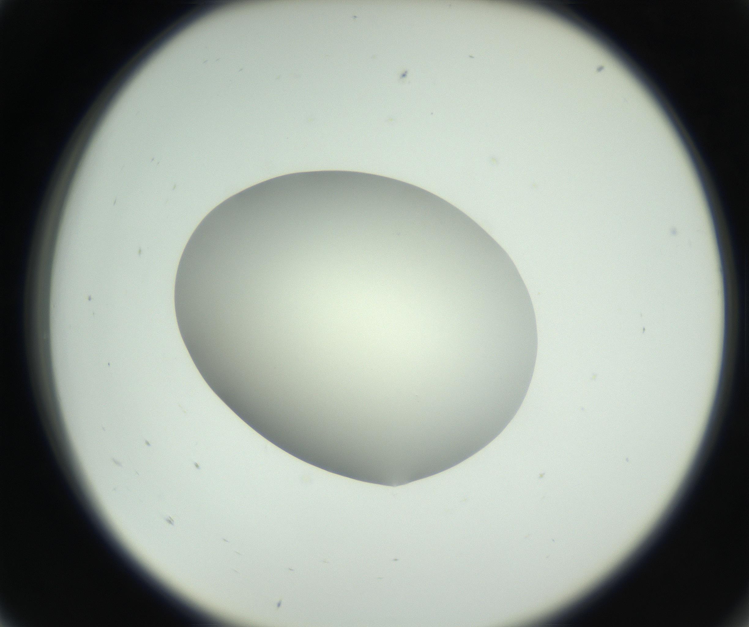 RI01_03_000_0212_Proj1_Clon1_MC_0000MC102736_004_160921_05_01_02_00_99_002_001_RAI.jpg