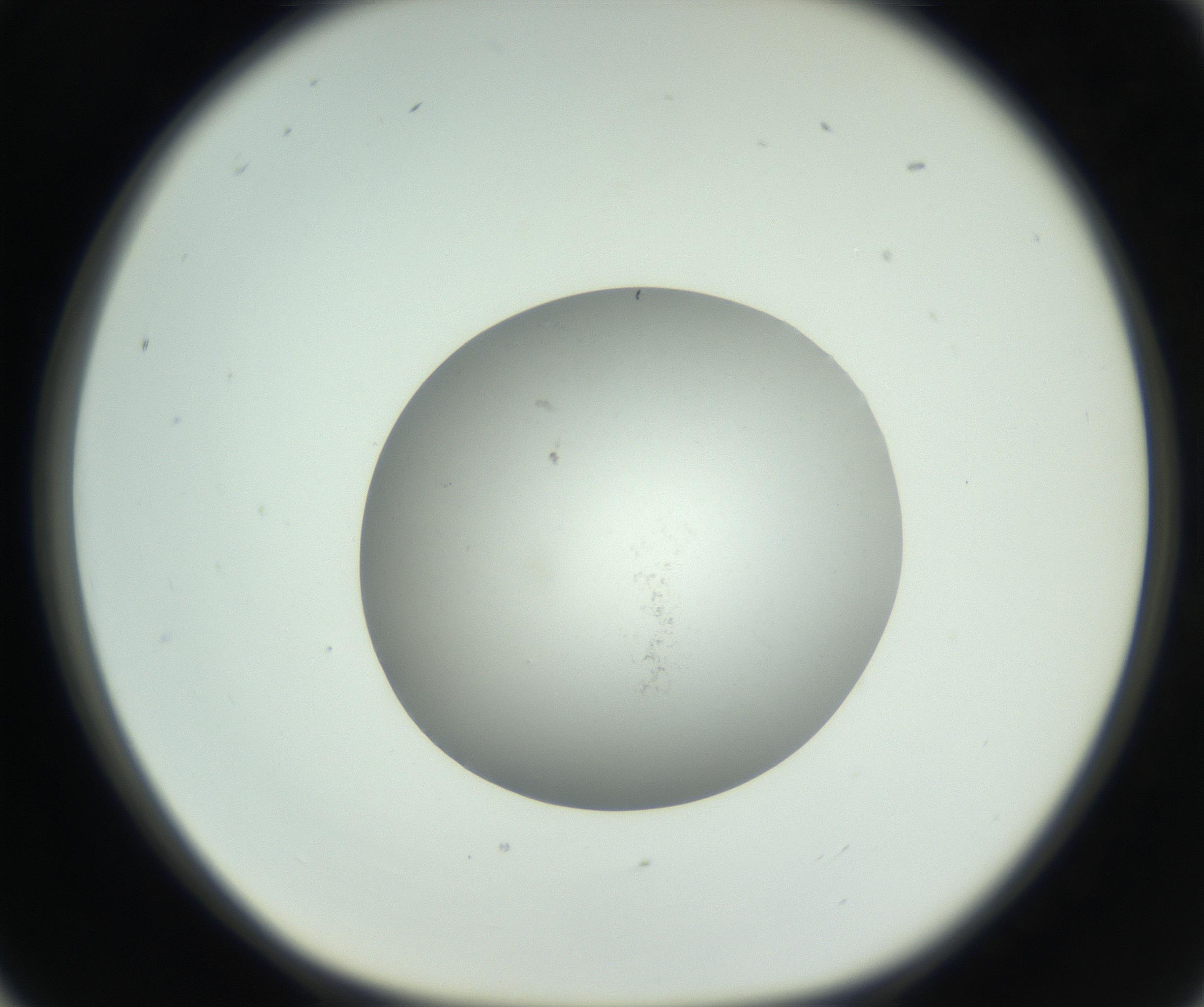 RI01_03_000_0212_Proj1_Clon1_MC_0000MC102736_004_160921_05_02_01_00_99_002_001_RAI.jpg