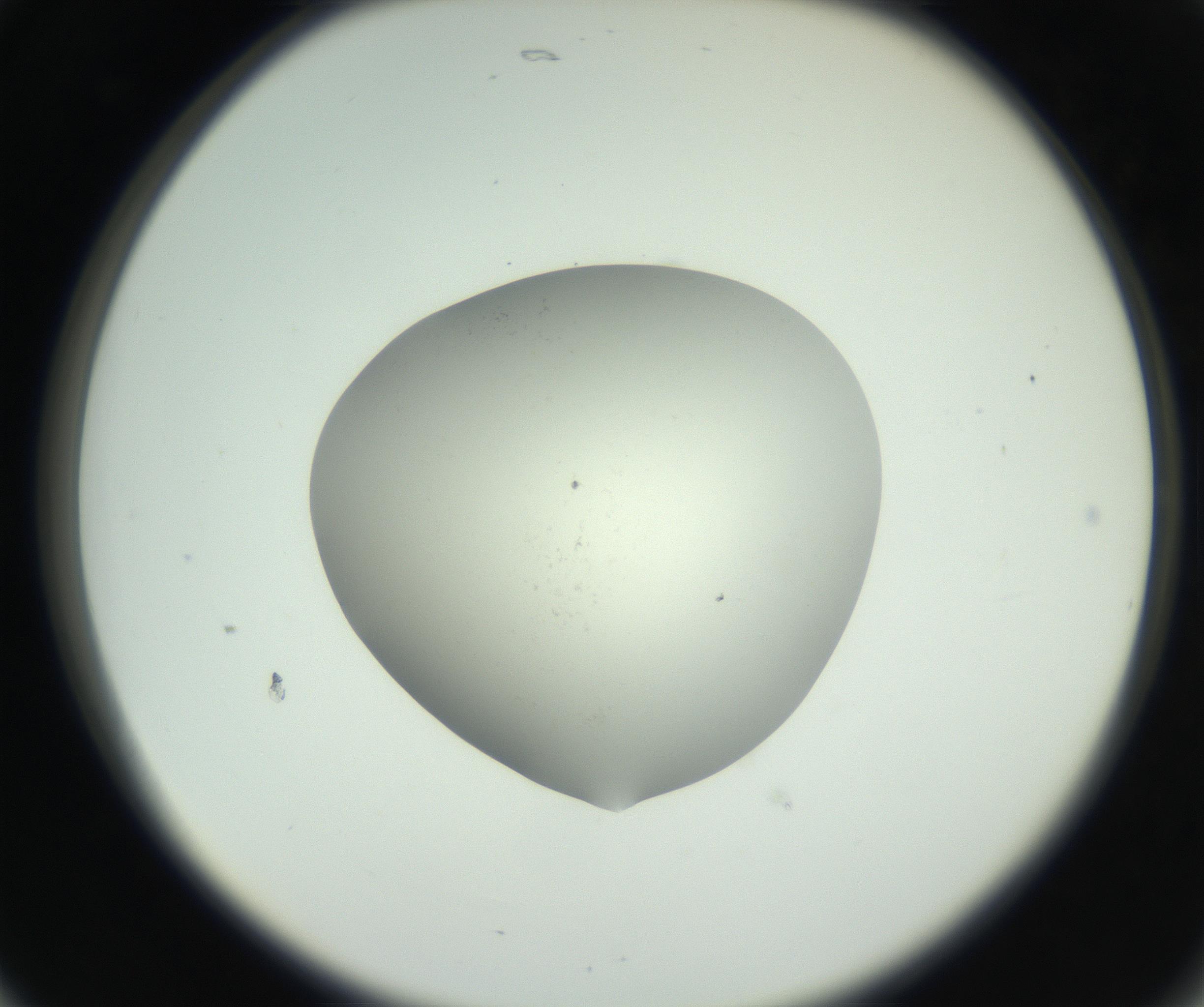 RI01_03_000_0212_Proj1_Clon1_MC_0000MC102736_004_160921_05_02_02_00_99_002_001_RAI.jpg