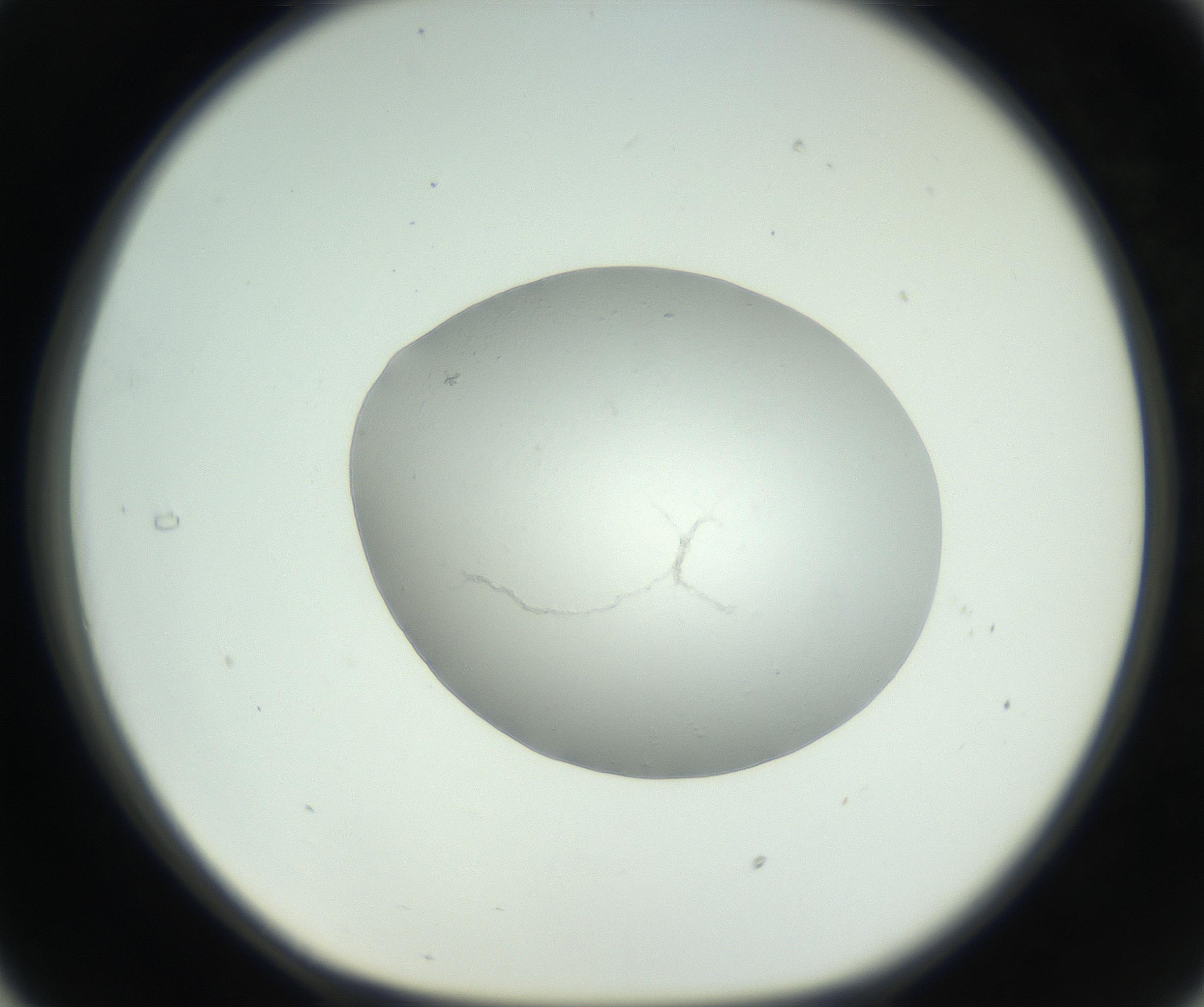 RI01_03_000_0212_Proj1_Clon1_MC_0000MC102736_004_160921_05_03_01_00_99_002_001_RAI.jpg
