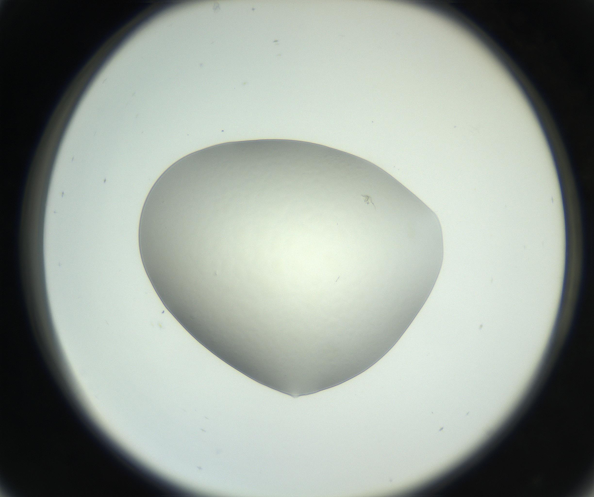 RI01_03_000_0212_Proj1_Clon1_MC_0000MC102736_004_160921_05_03_02_00_99_002_001_RAI.jpg