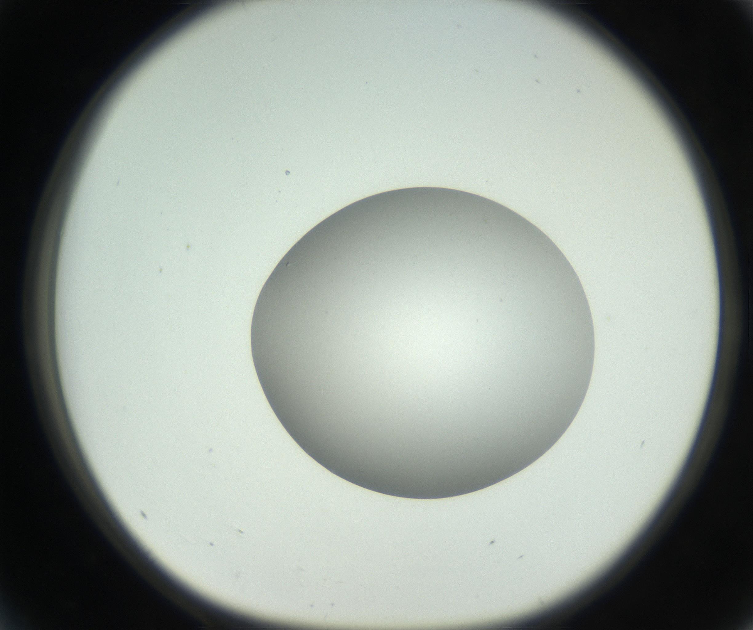 RI01_03_000_0212_Proj1_Clon1_MC_0000MC102736_004_160921_05_04_01_00_99_002_001_RAI.jpg