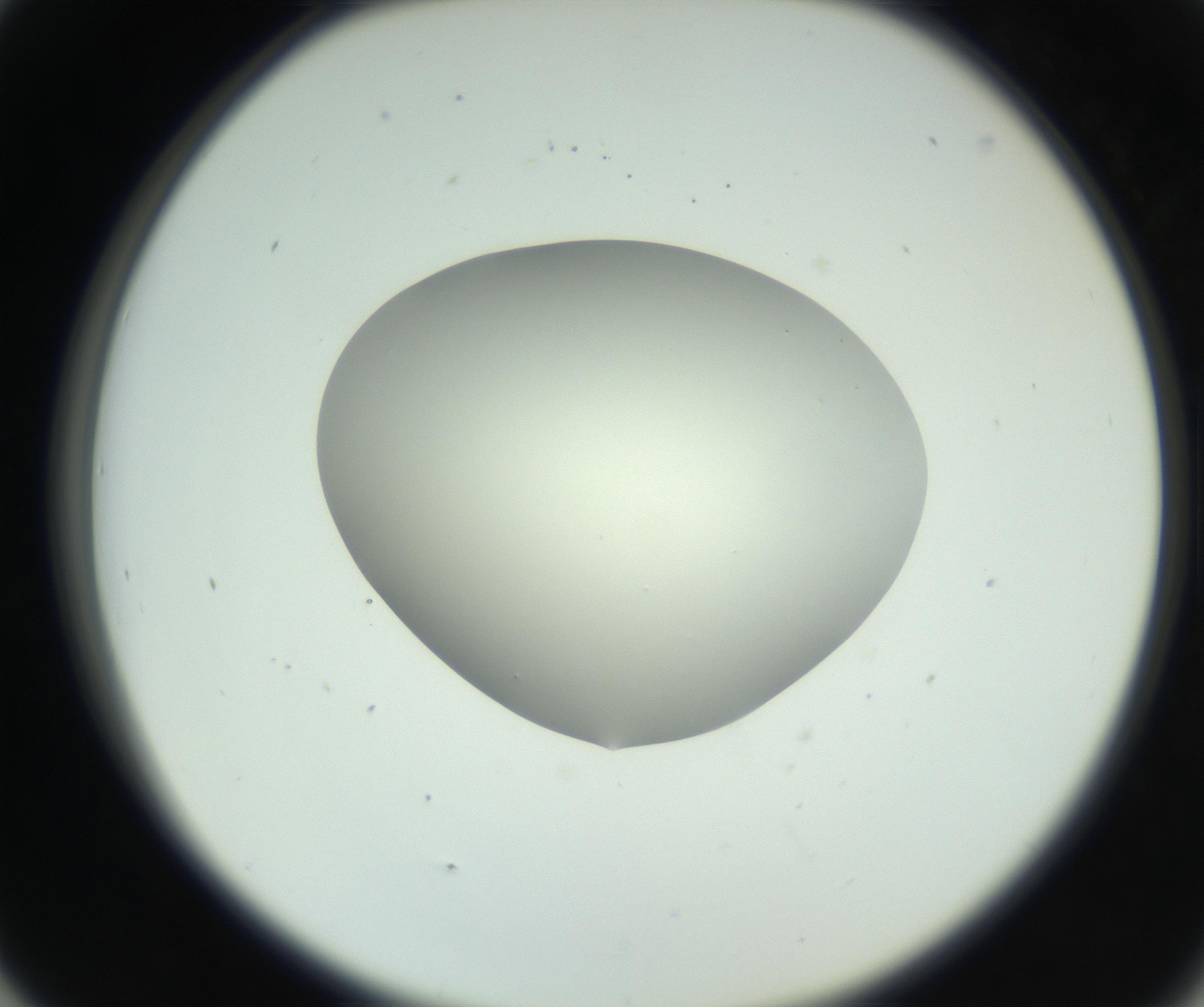 RI01_03_000_0212_Proj1_Clon1_MC_0000MC102736_004_160921_05_04_02_00_99_002_001_RAI.jpg