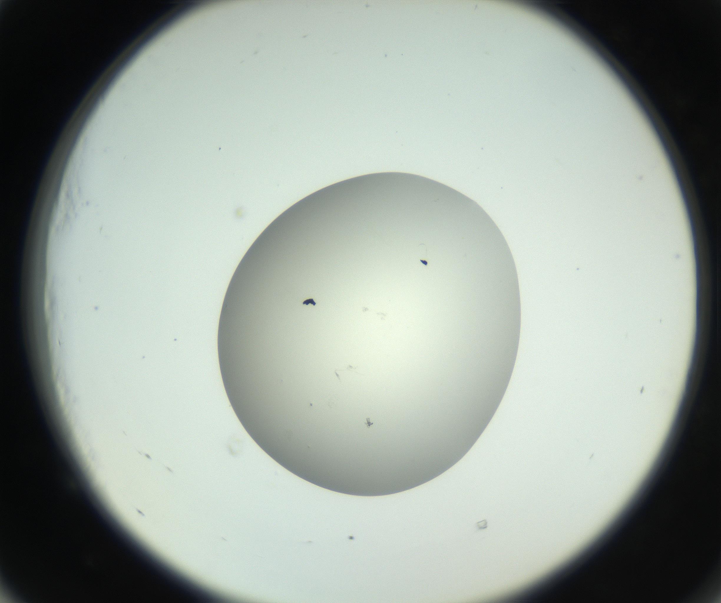 RI01_03_000_0212_Proj1_Clon1_MC_0000MC102736_004_160921_05_05_02_00_99_002_001_RAI.jpg