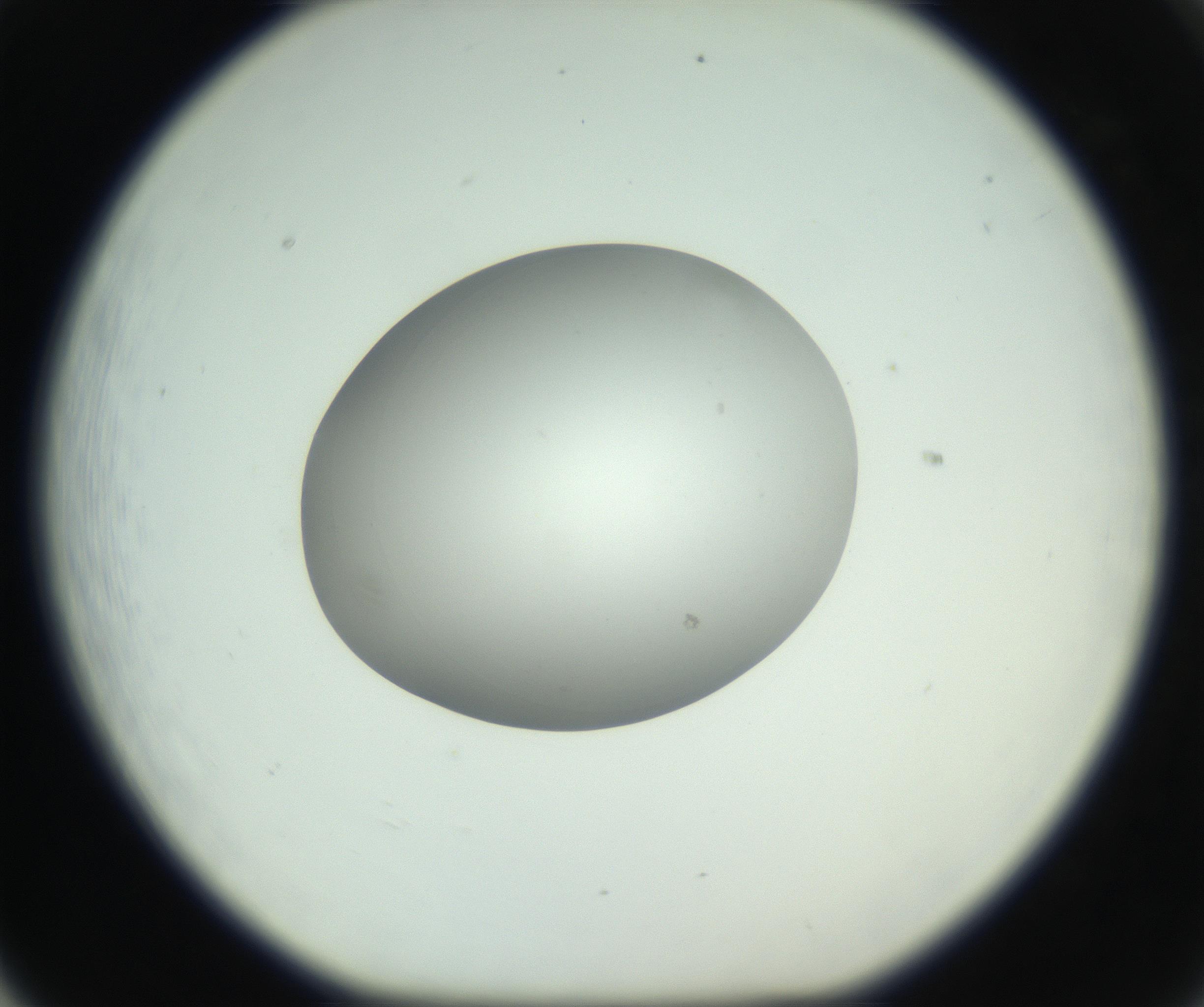 RI01_03_000_0212_Proj1_Clon1_MC_0000MC102736_004_160921_05_06_01_00_99_002_001_RAI.jpg