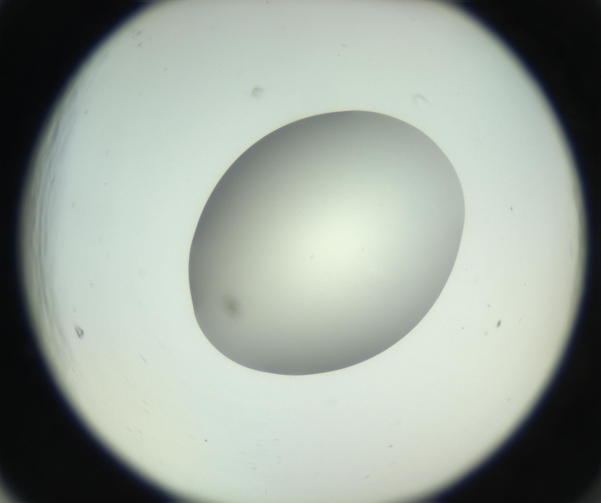 RI01_03_000_0212_Proj1_Clon1_MC_0000MC102736_004_160921_05_06_02_00_99_002_001_RAI.jpg