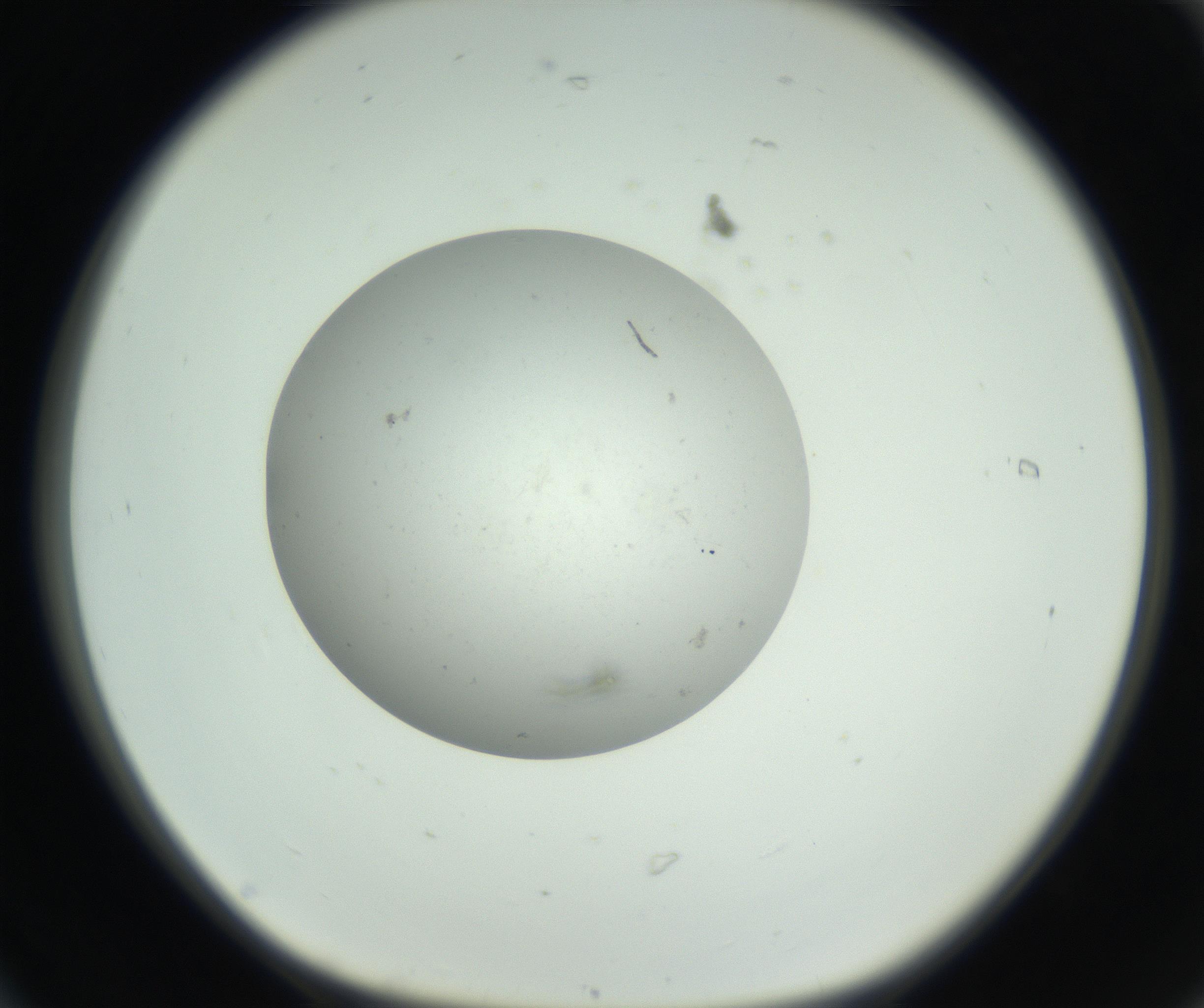 RI01_03_000_0212_Proj1_Clon1_MC_0000MC102736_004_160921_06_01_01_00_99_002_001_RAI.jpg