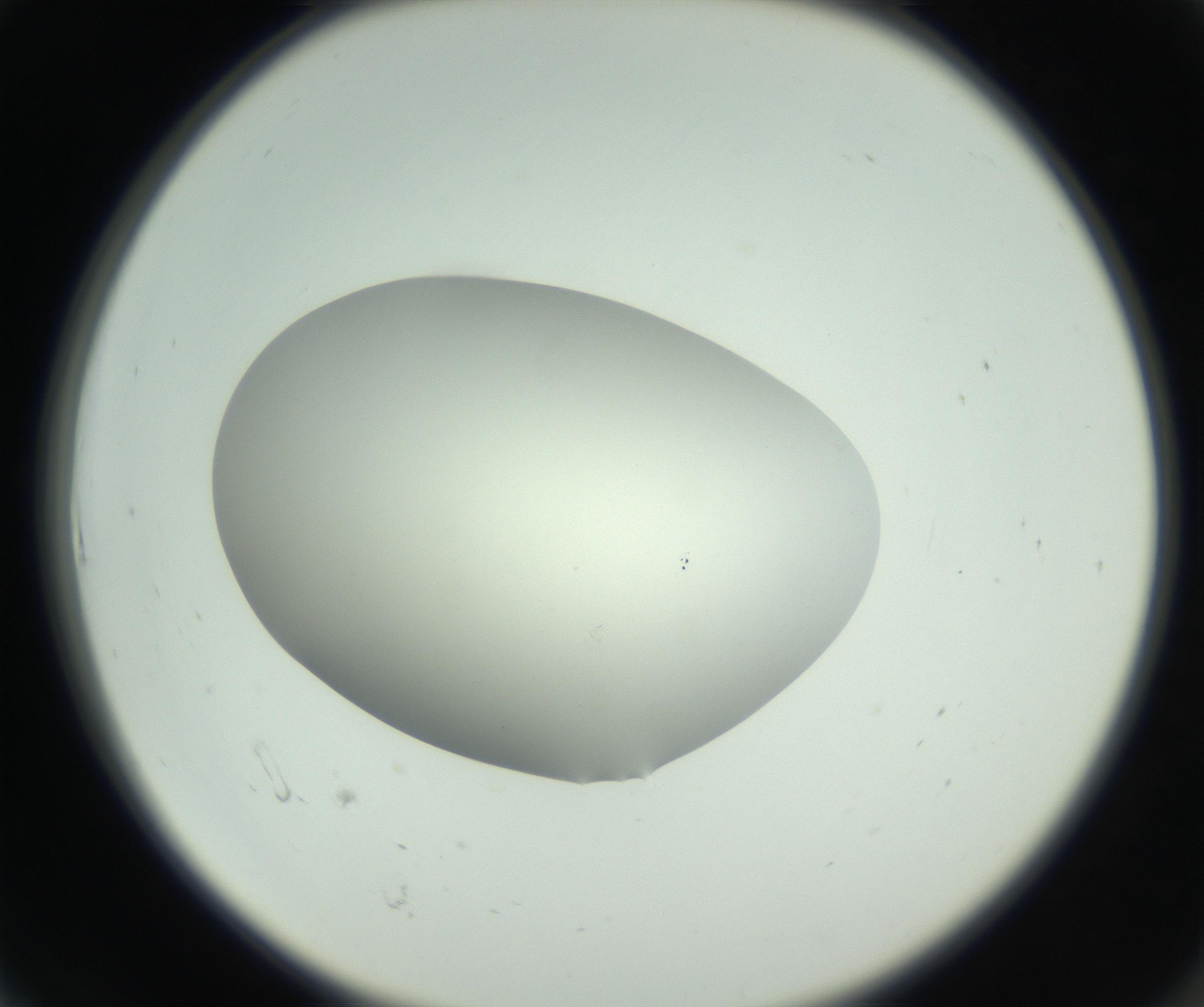 RI01_03_000_0212_Proj1_Clon1_MC_0000MC102736_004_160921_06_01_02_00_99_002_001_RAI.jpg