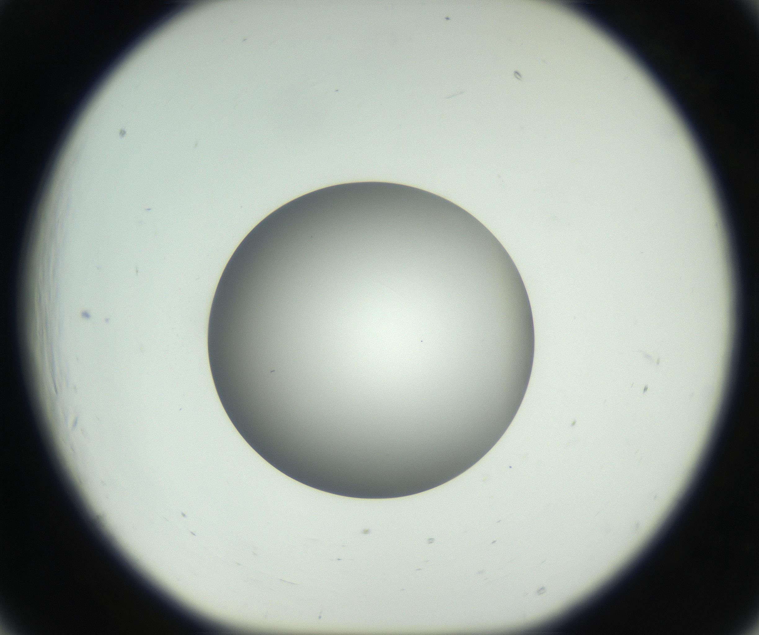 RI01_03_000_0212_Proj1_Clon1_MC_0000MC102736_004_160921_06_02_01_00_99_002_001_RAI.jpg