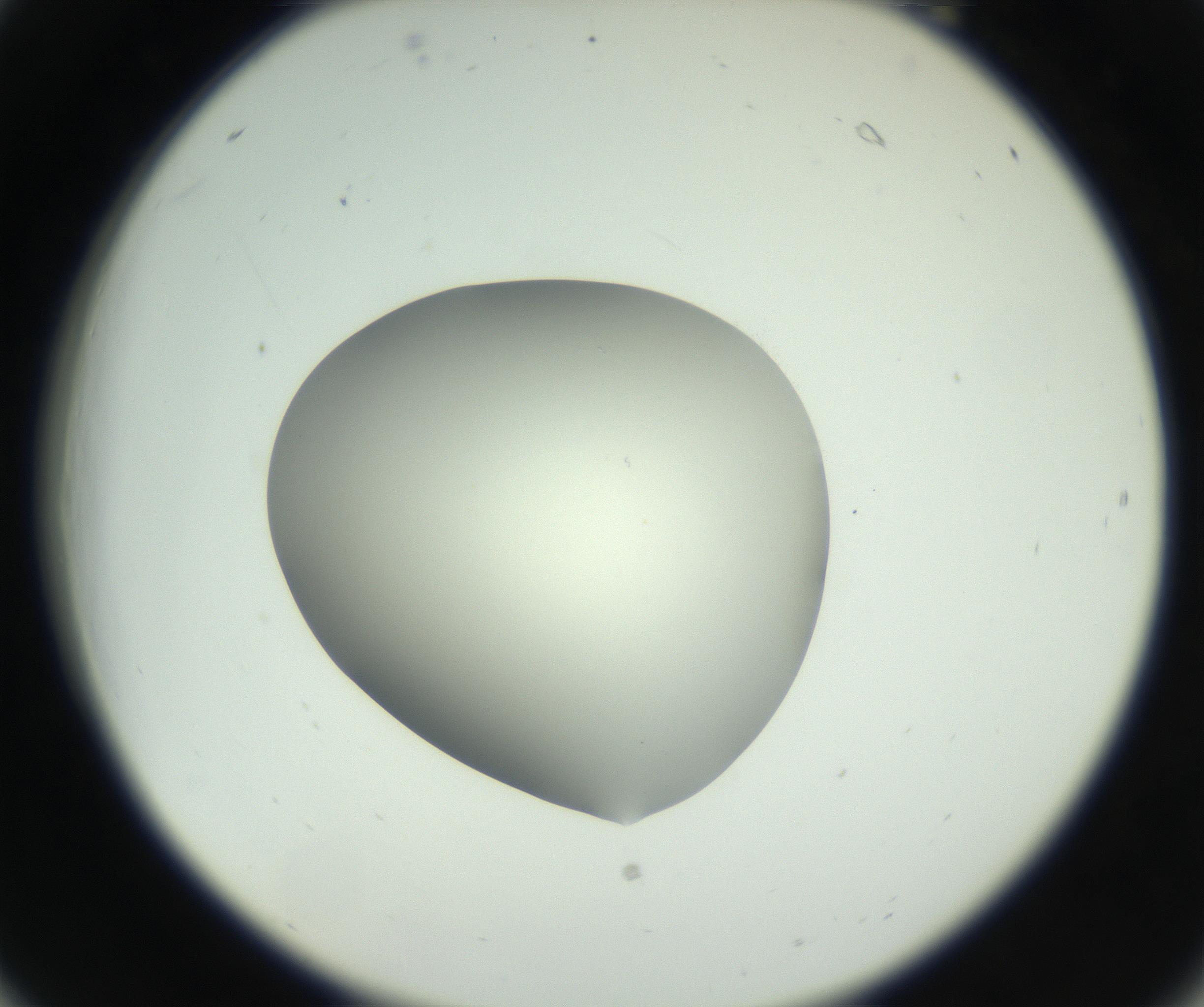 RI01_03_000_0212_Proj1_Clon1_MC_0000MC102736_004_160921_06_02_02_00_99_002_001_RAI.jpg