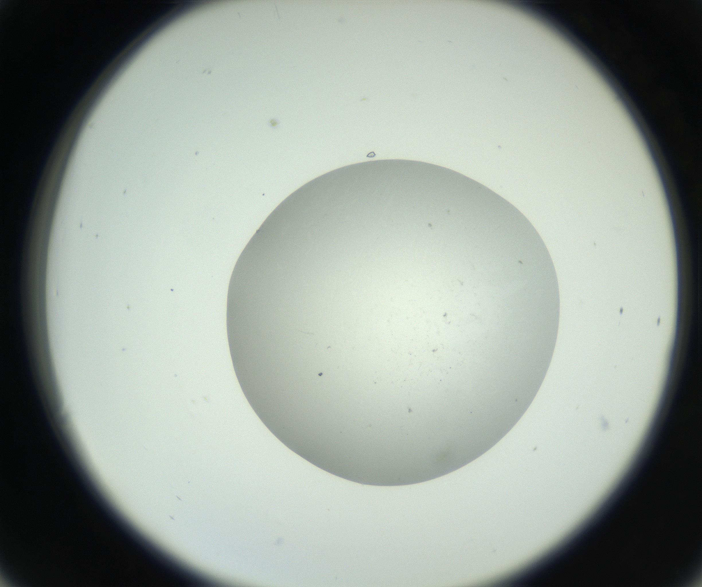 RI01_03_000_0212_Proj1_Clon1_MC_0000MC102736_004_160921_06_03_02_00_99_002_001_RAI.jpg