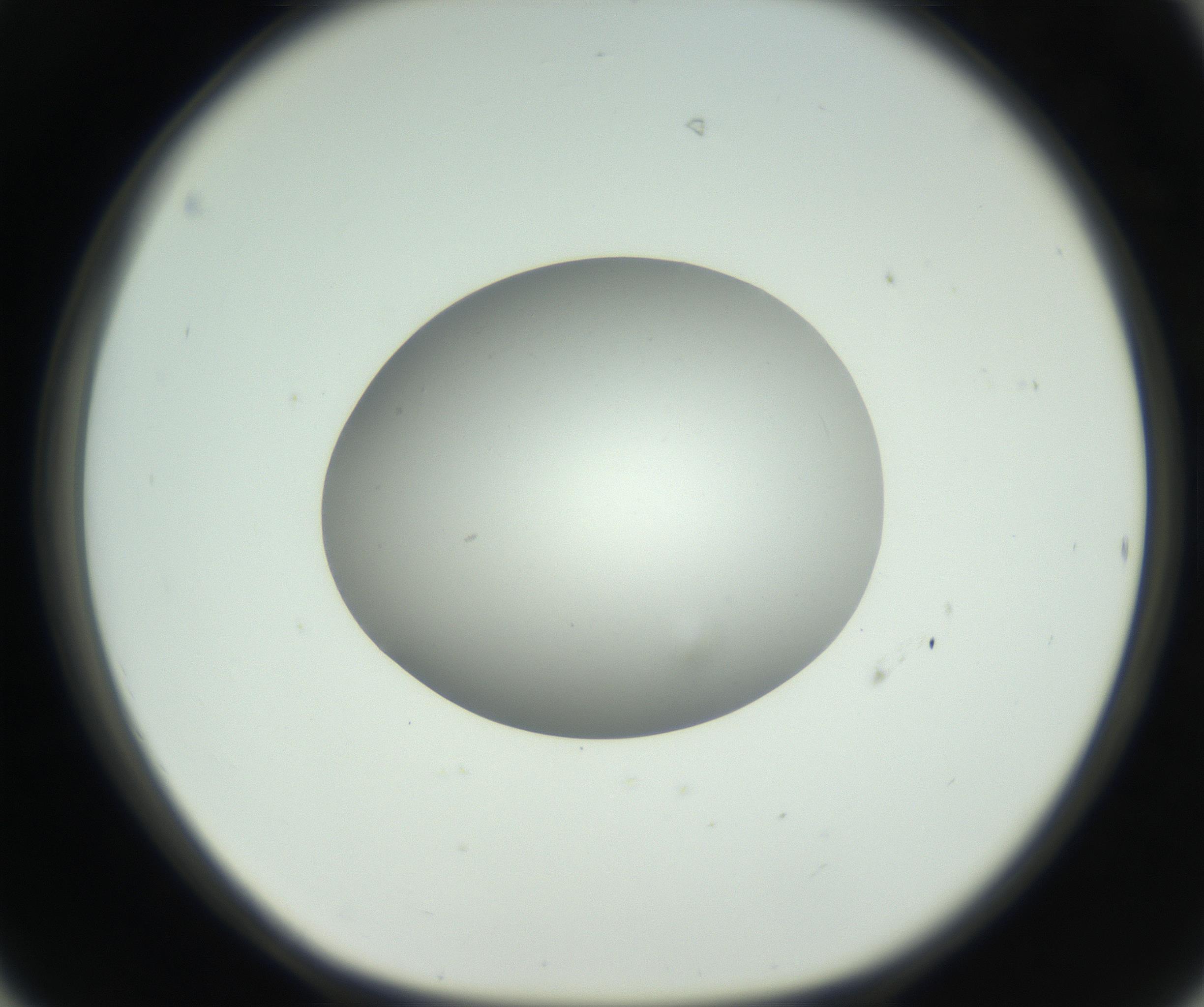 RI01_03_000_0212_Proj1_Clon1_MC_0000MC102736_004_160921_06_04_01_00_99_002_001_RAI.jpg