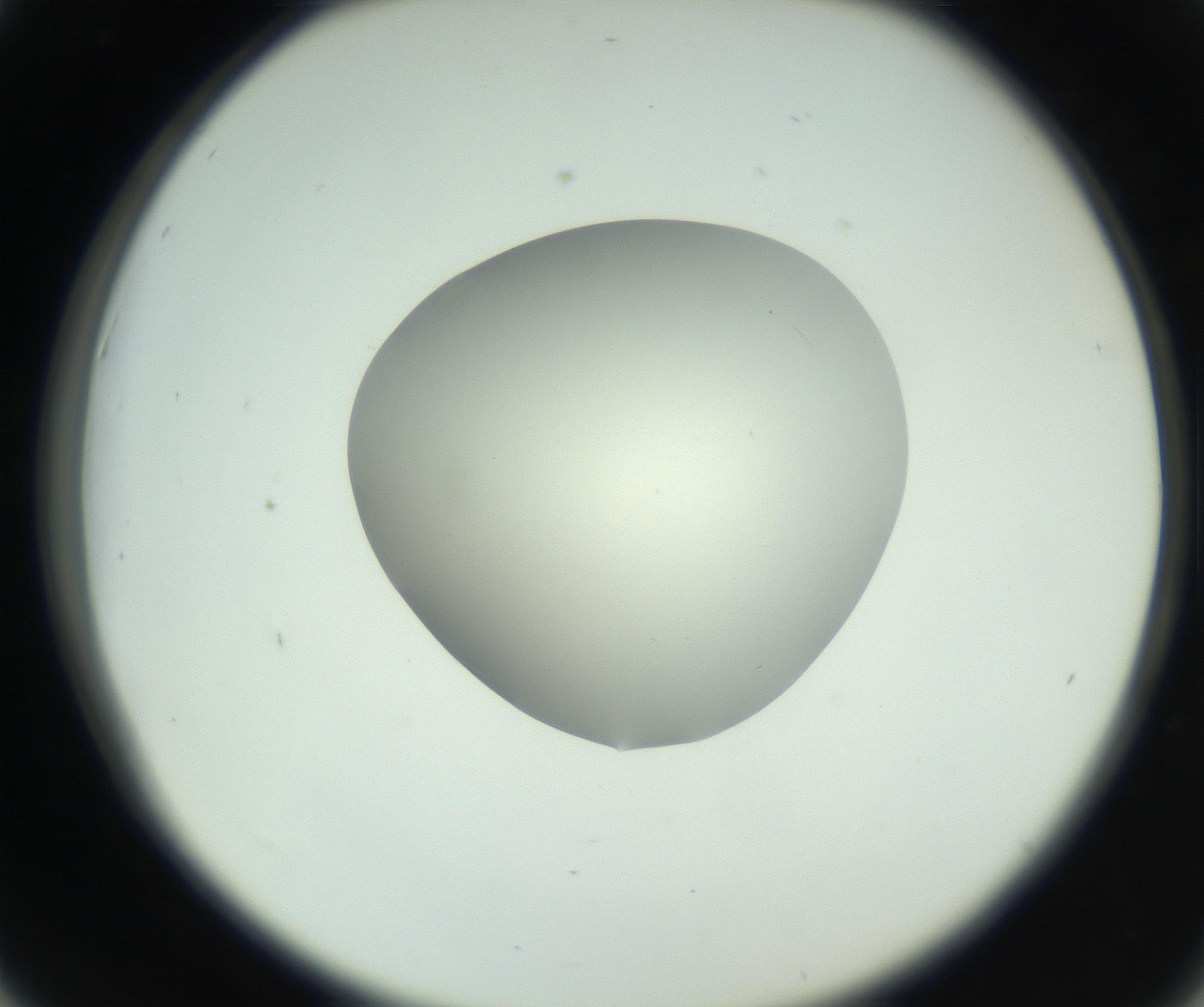 RI01_03_000_0212_Proj1_Clon1_MC_0000MC102736_004_160921_06_04_02_00_99_002_001_RAI.jpg