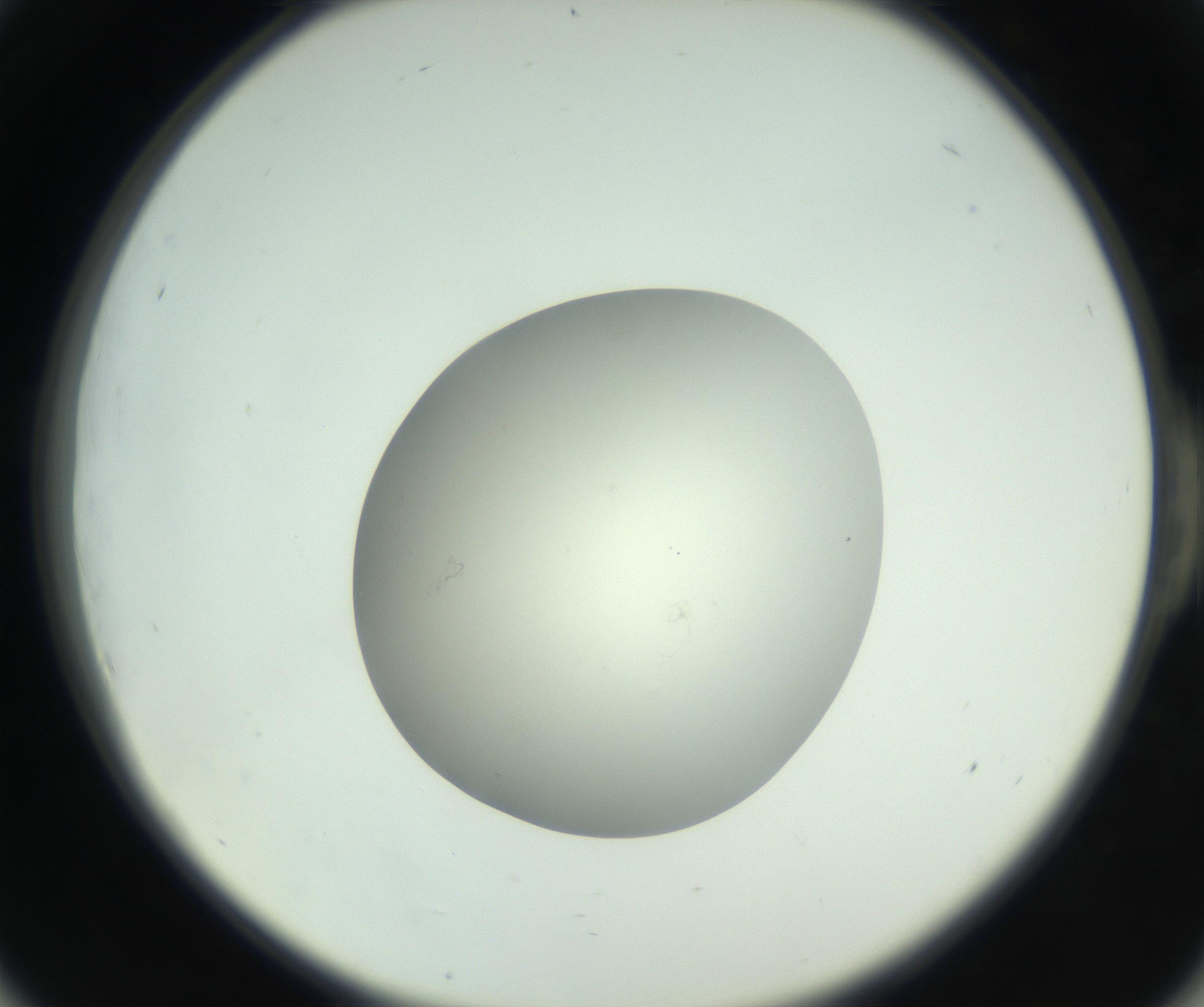 RI01_03_000_0212_Proj1_Clon1_MC_0000MC102736_004_160921_06_05_02_00_99_002_001_RAI.jpg