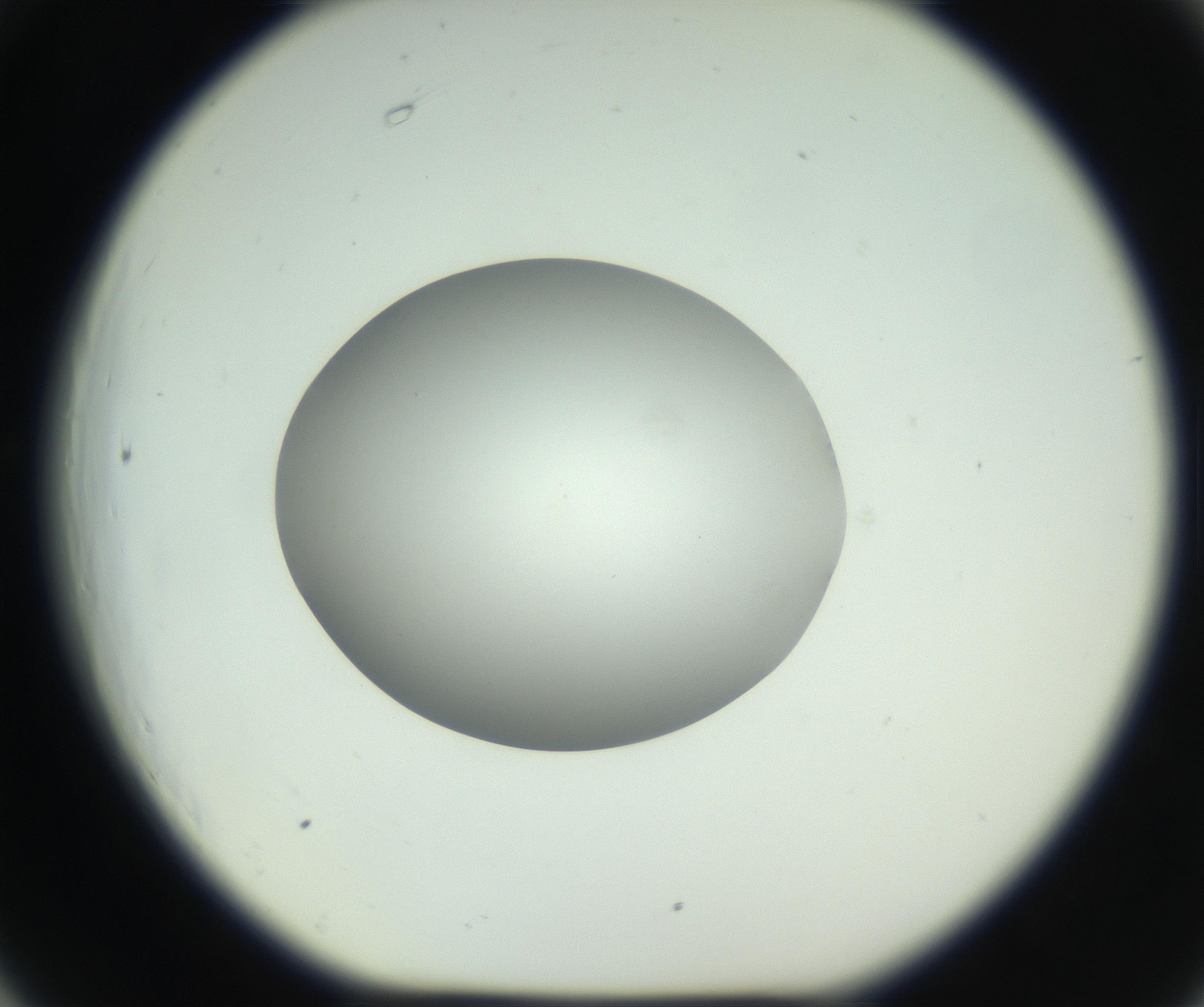 RI01_03_000_0212_Proj1_Clon1_MC_0000MC102736_004_160921_06_06_01_00_99_002_001_RAI.jpg