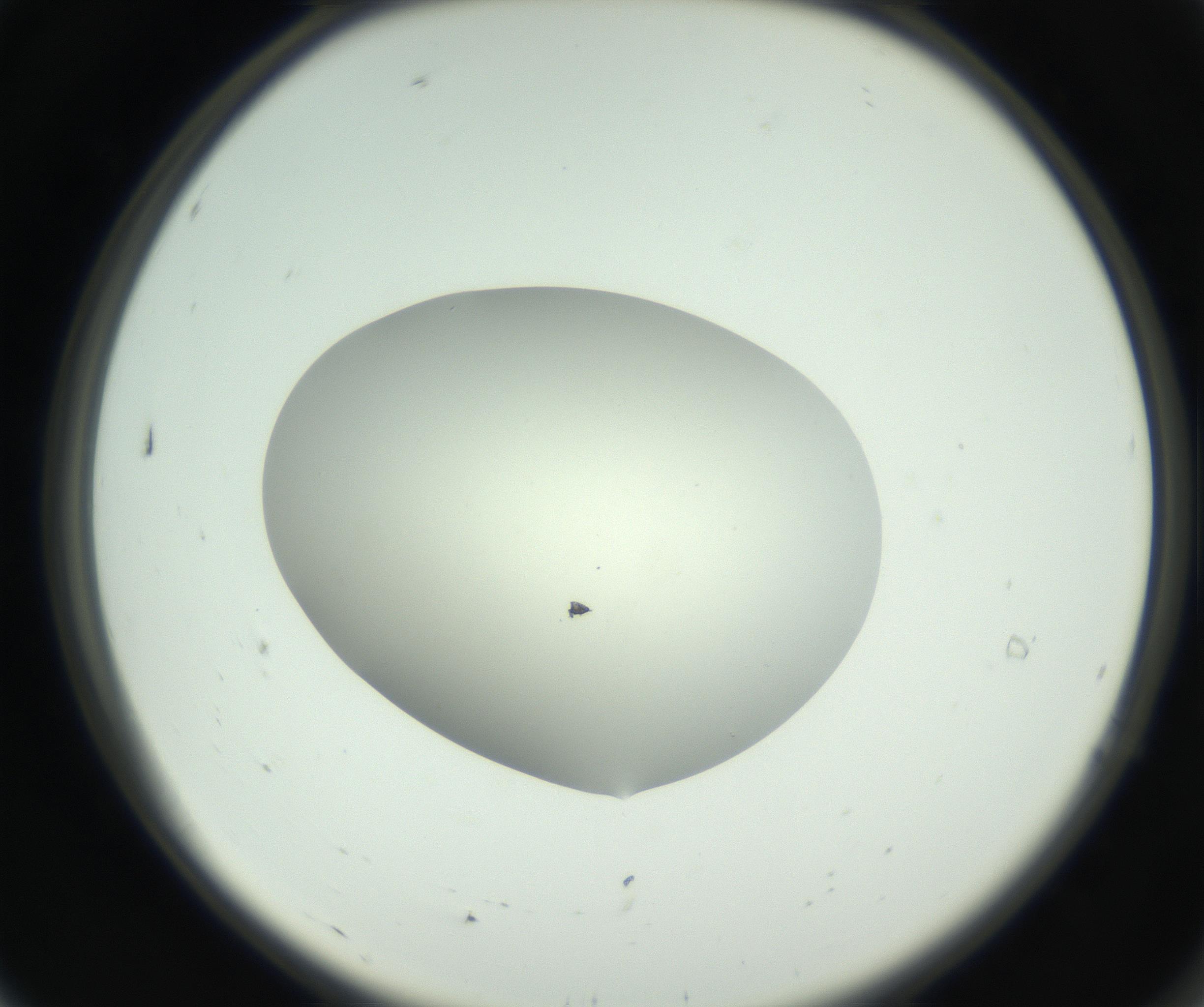 RI01_03_000_0212_Proj1_Clon1_MC_0000MC102736_004_160921_07_01_02_00_99_002_001_RAI.jpg