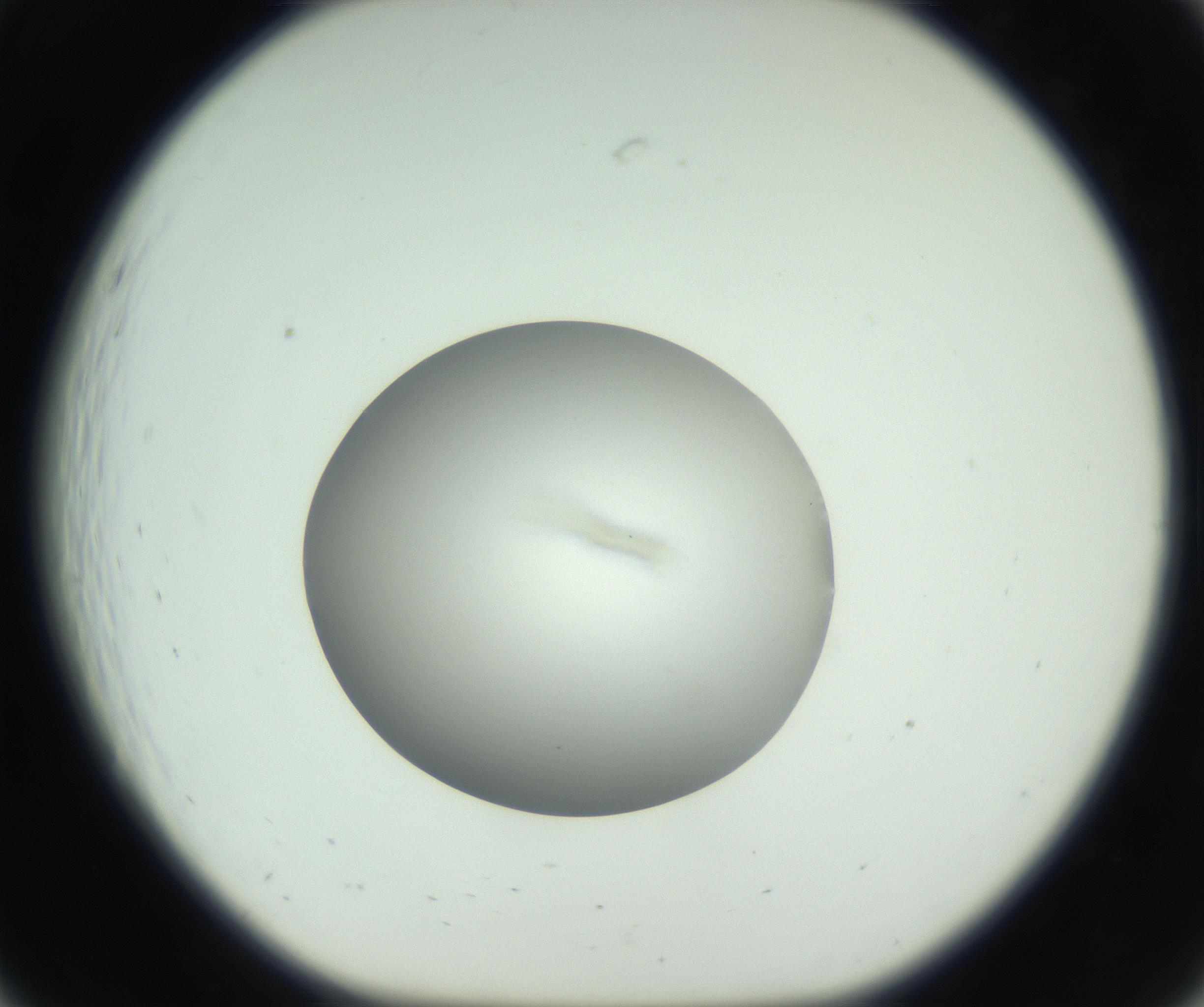 RI01_03_000_0212_Proj1_Clon1_MC_0000MC102736_004_160921_07_02_01_00_99_002_001_RAI.jpg