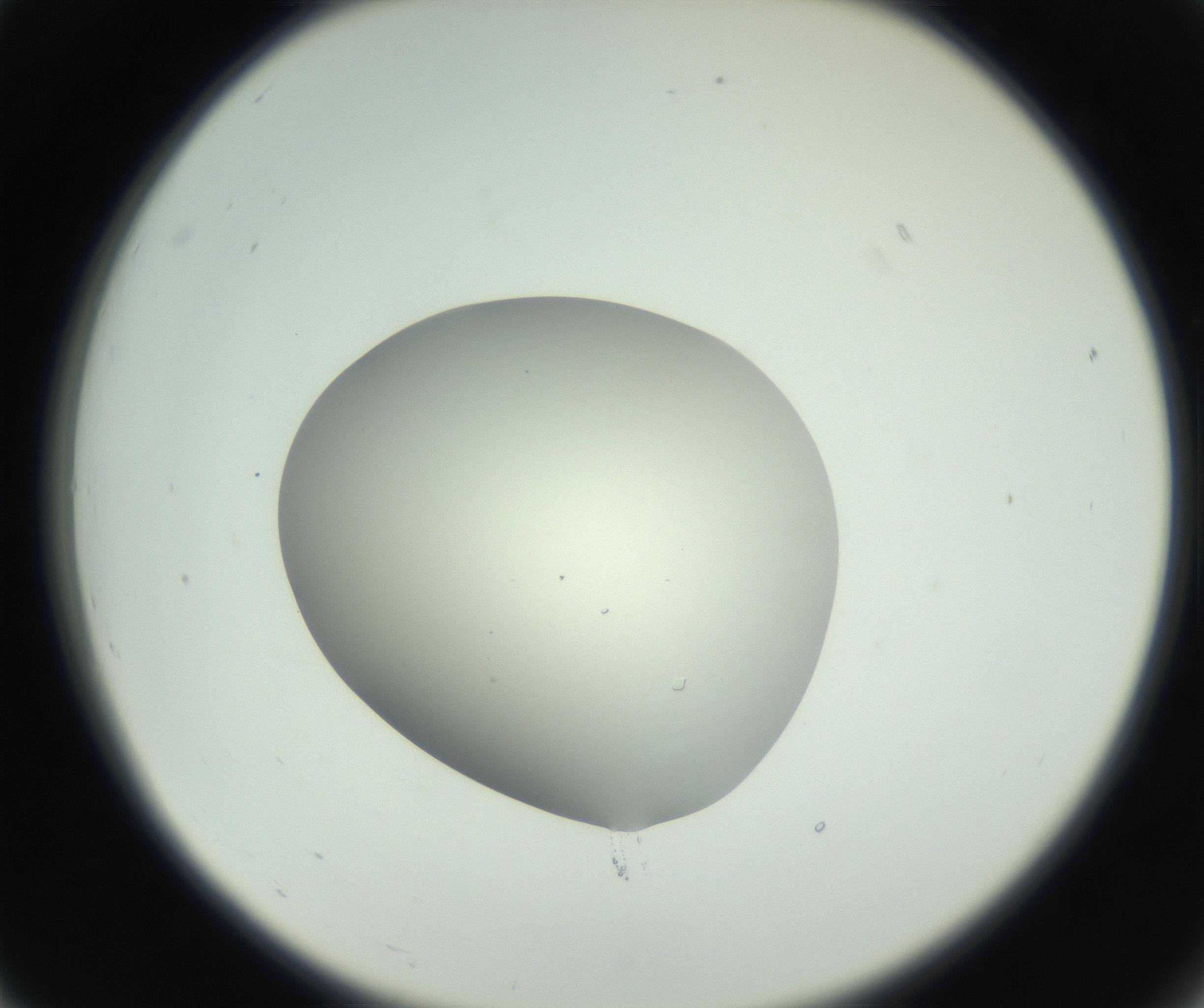 RI01_03_000_0212_Proj1_Clon1_MC_0000MC102736_004_160921_07_02_02_00_99_002_001_RAI.jpg