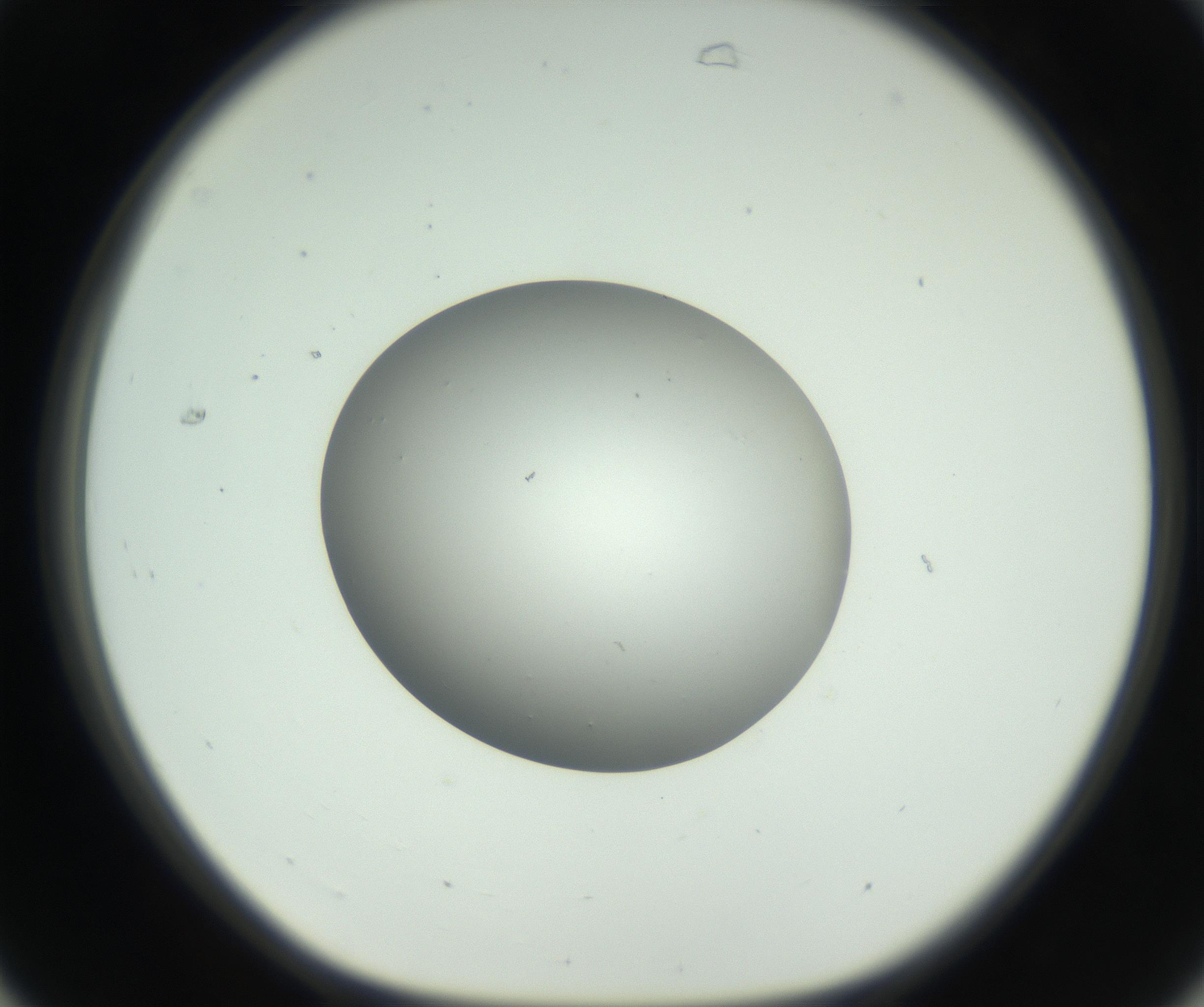RI01_03_000_0212_Proj1_Clon1_MC_0000MC102736_004_160921_07_03_01_00_99_002_001_RAI.jpg