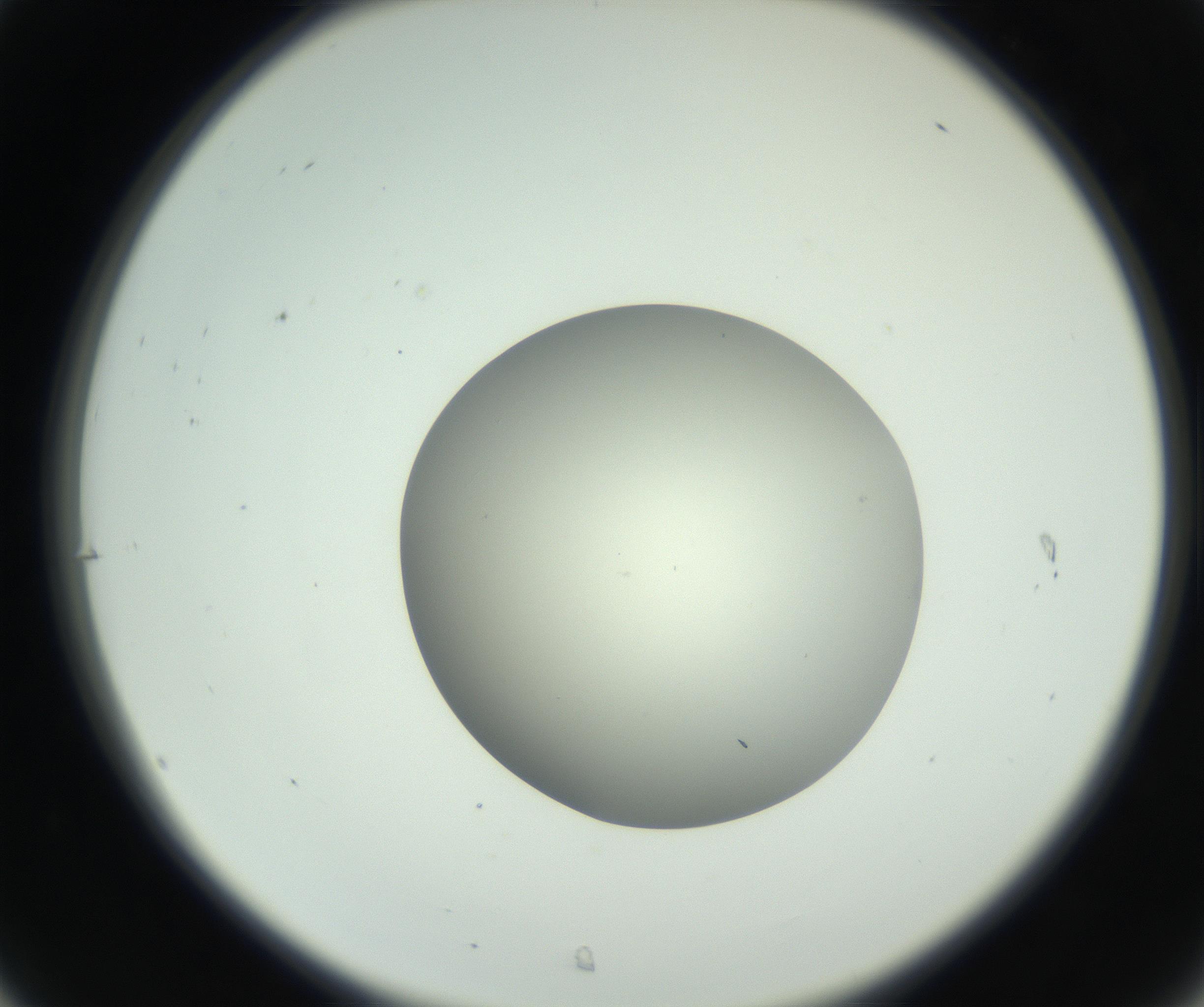 RI01_03_000_0212_Proj1_Clon1_MC_0000MC102736_004_160921_07_03_02_00_99_002_001_RAI.jpg