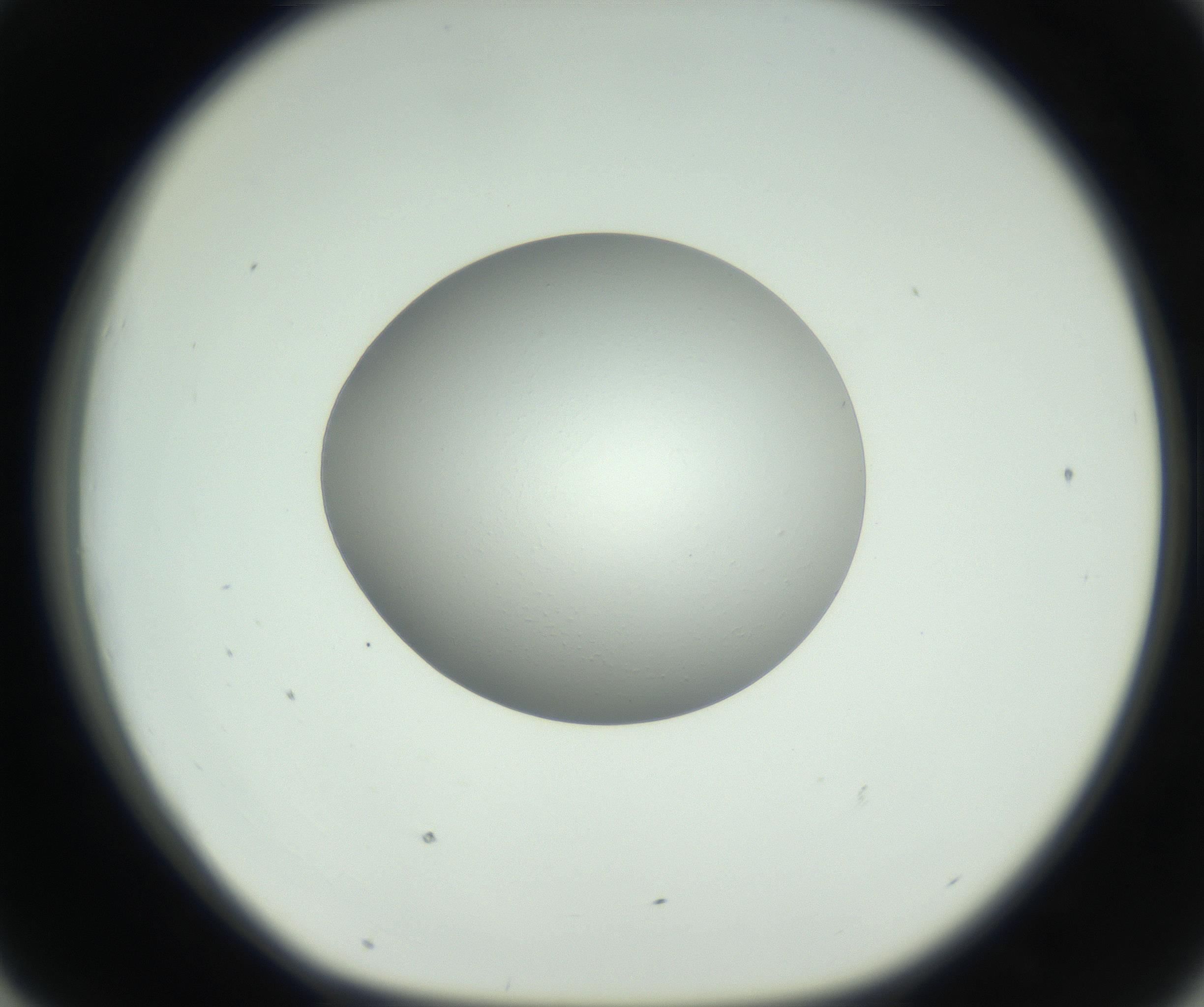 RI01_03_000_0212_Proj1_Clon1_MC_0000MC102736_004_160921_07_04_01_00_99_002_001_RAI.jpg