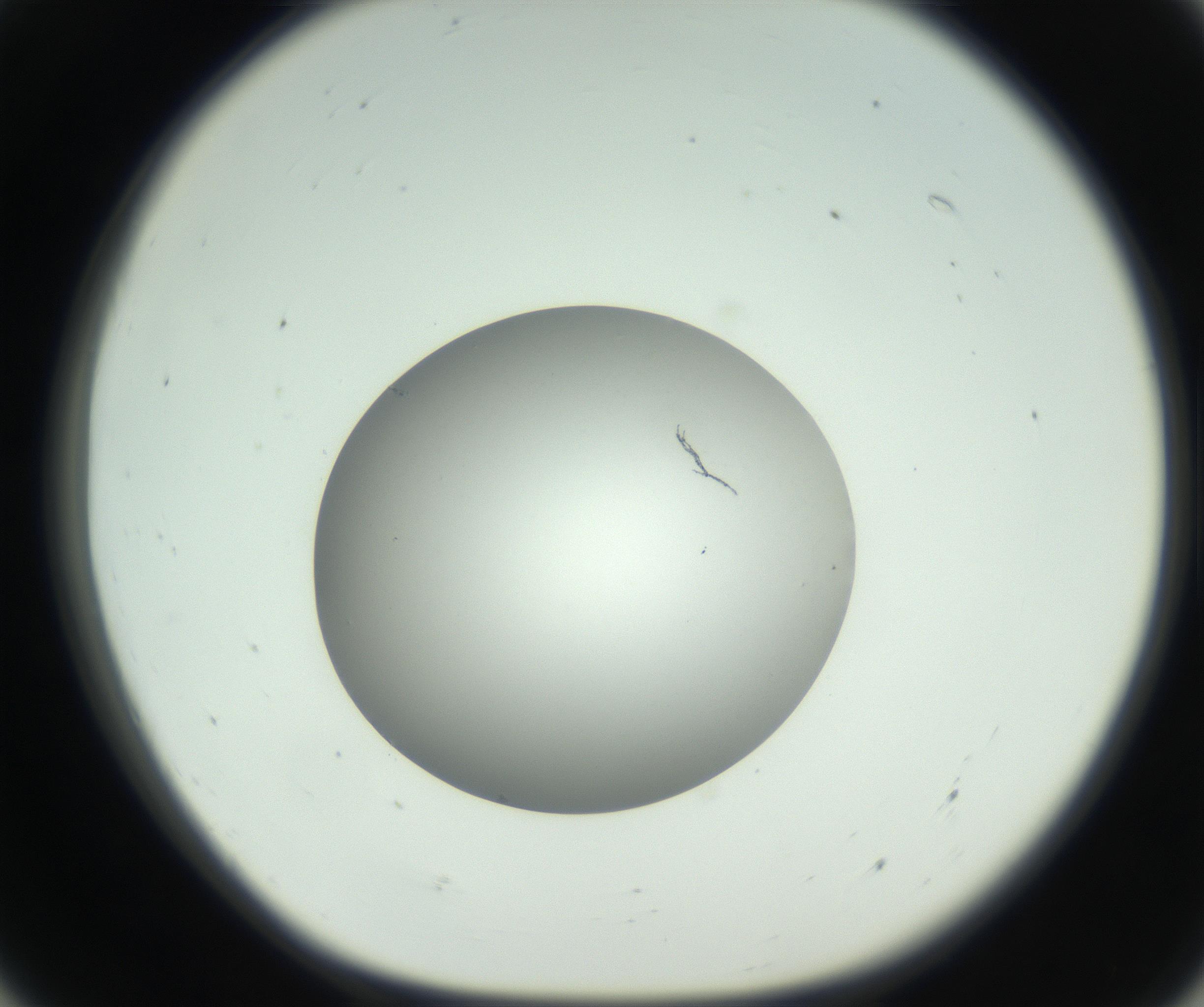 RI01_03_000_0212_Proj1_Clon1_MC_0000MC102736_004_160921_07_05_01_00_99_002_001_RAI.jpg