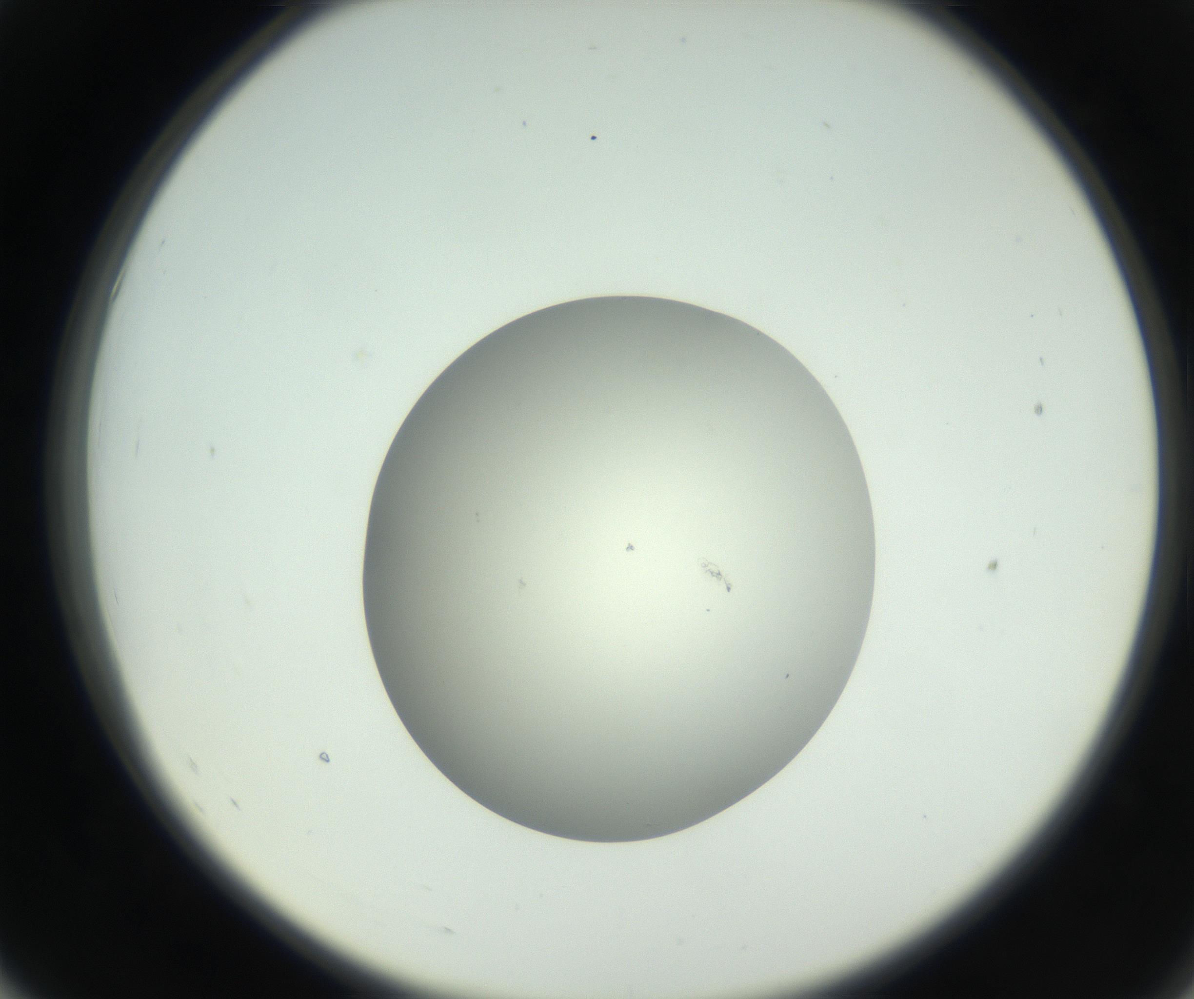 RI01_03_000_0212_Proj1_Clon1_MC_0000MC102736_004_160921_07_05_02_00_99_002_001_RAI.jpg
