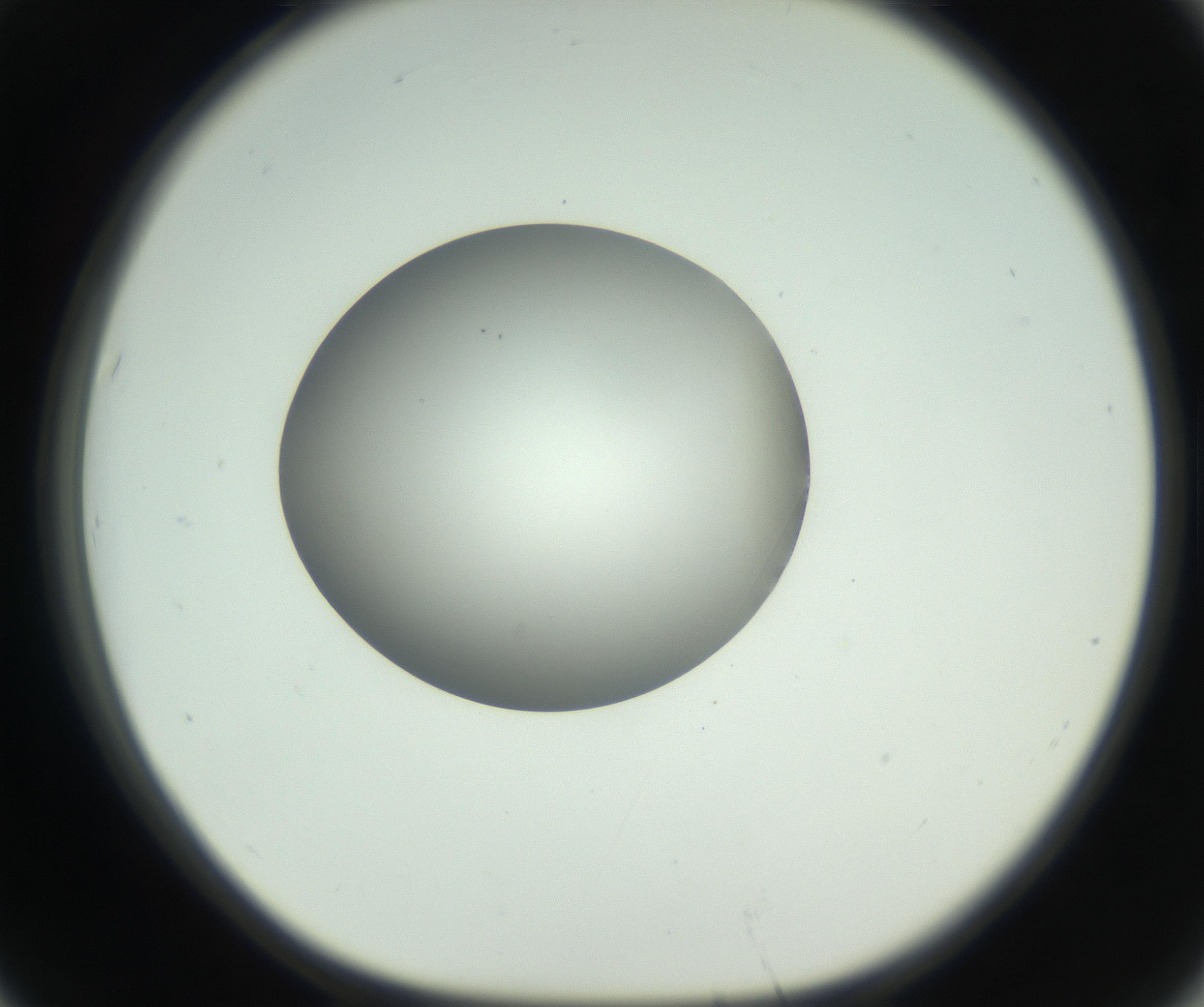 RI01_03_000_0212_Proj1_Clon1_MC_0000MC102736_004_160921_07_06_01_00_99_002_001_RAI.jpg