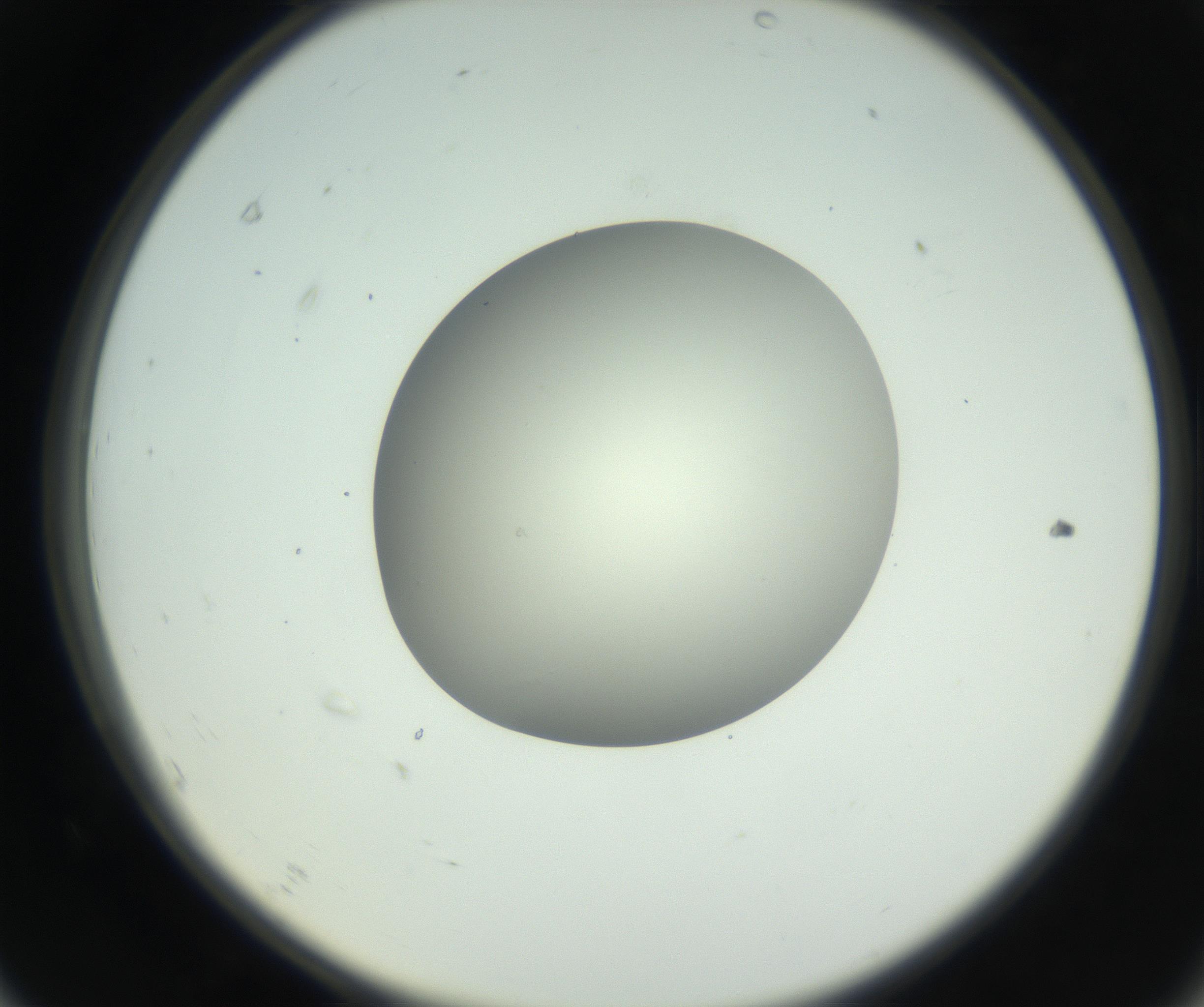 RI01_03_000_0212_Proj1_Clon1_MC_0000MC102736_004_160921_07_06_02_00_99_002_001_RAI.jpg