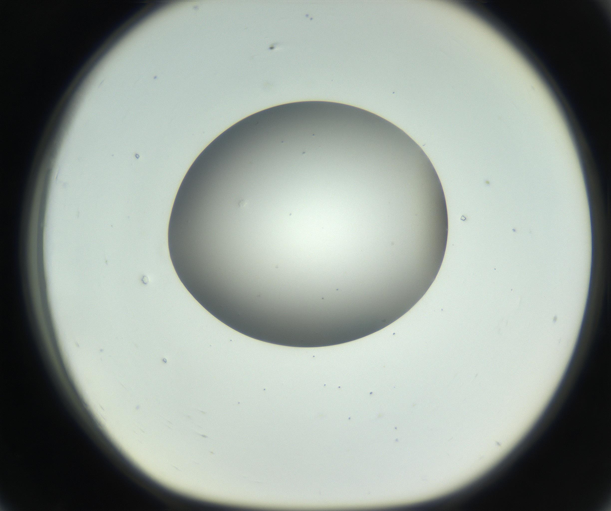 RI01_03_000_0212_Proj1_Clon1_MC_0000MC102736_004_160921_07_07_01_00_99_002_001_RAI.jpg