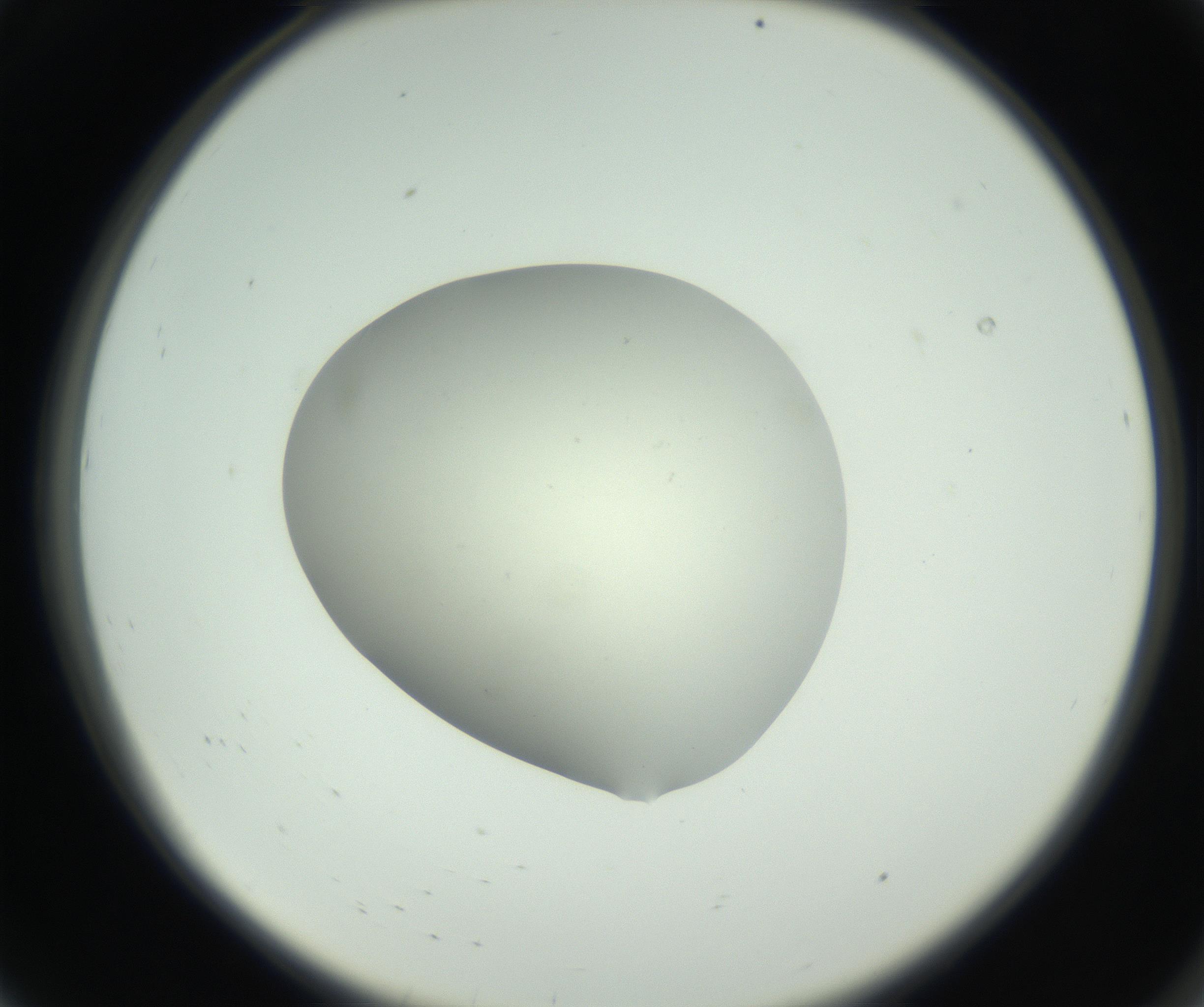 RI01_03_000_0212_Proj1_Clon1_MC_0000MC102736_004_160921_08_01_02_00_99_002_001_RAI.jpg