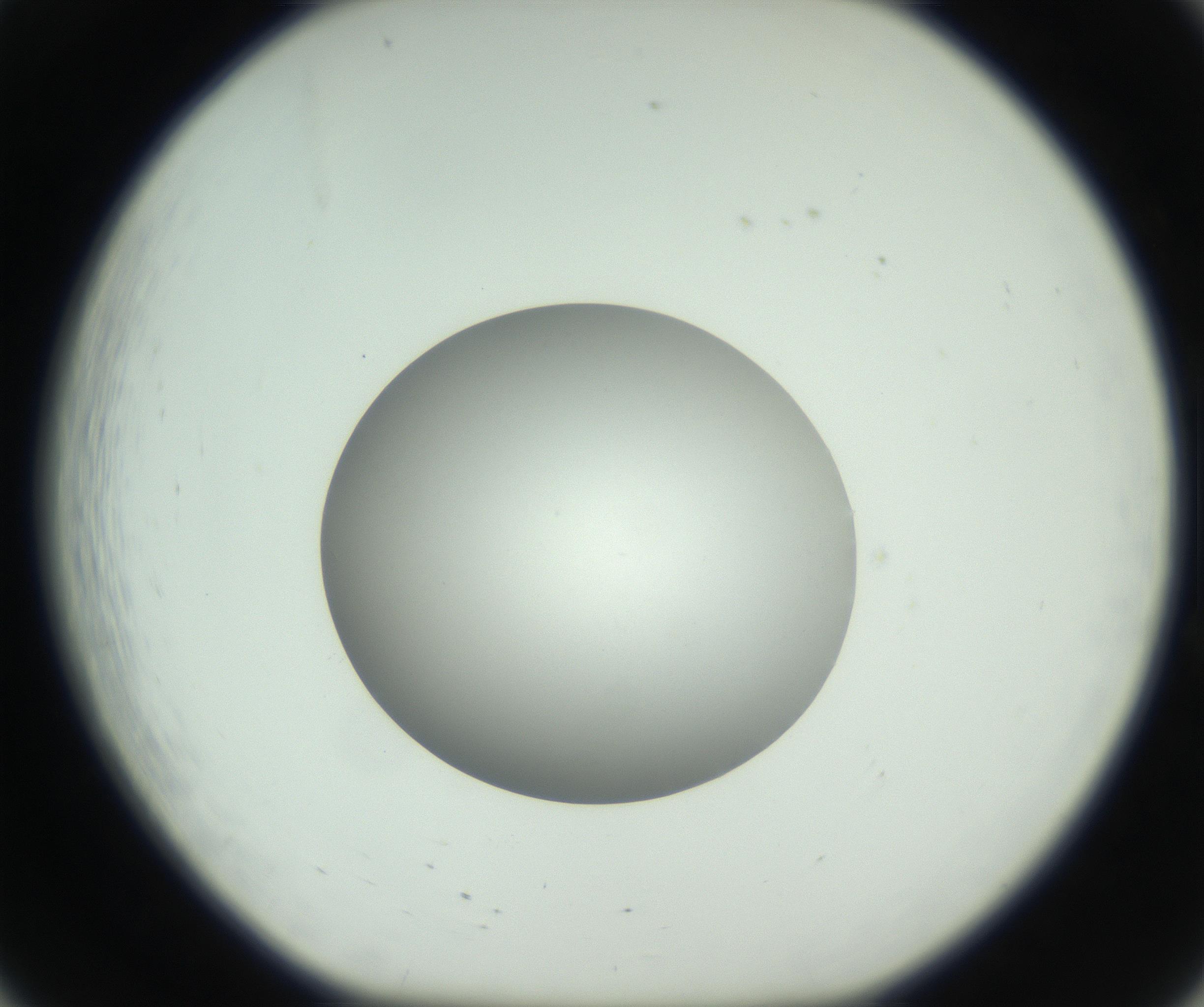 RI01_03_000_0212_Proj1_Clon1_MC_0000MC102736_004_160921_08_02_01_00_99_002_001_RAI.jpg