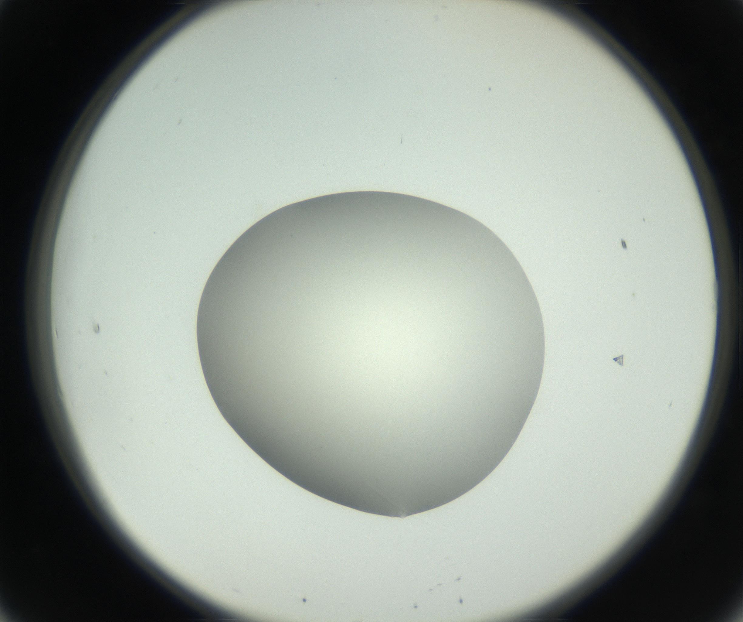 RI01_03_000_0212_Proj1_Clon1_MC_0000MC102736_004_160921_08_02_02_00_99_002_001_RAI.jpg