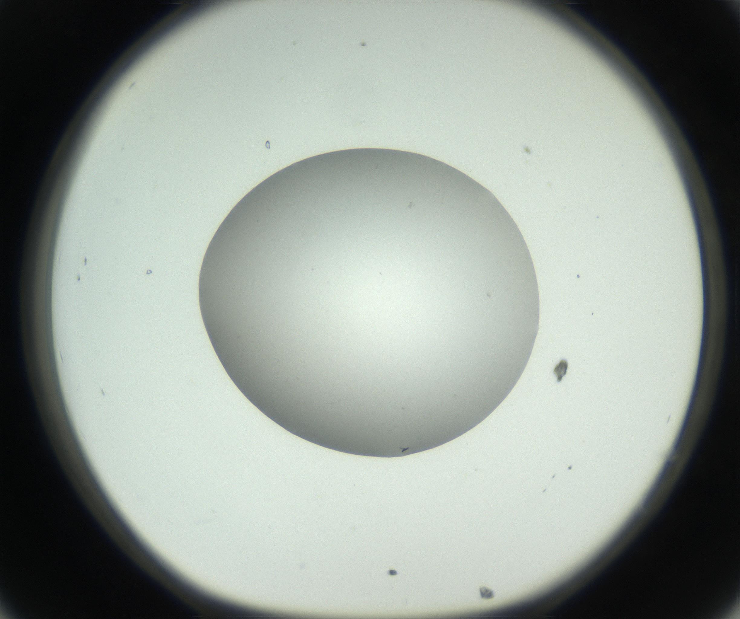 RI01_03_000_0212_Proj1_Clon1_MC_0000MC102736_004_160921_08_03_01_00_99_002_001_RAI.jpg