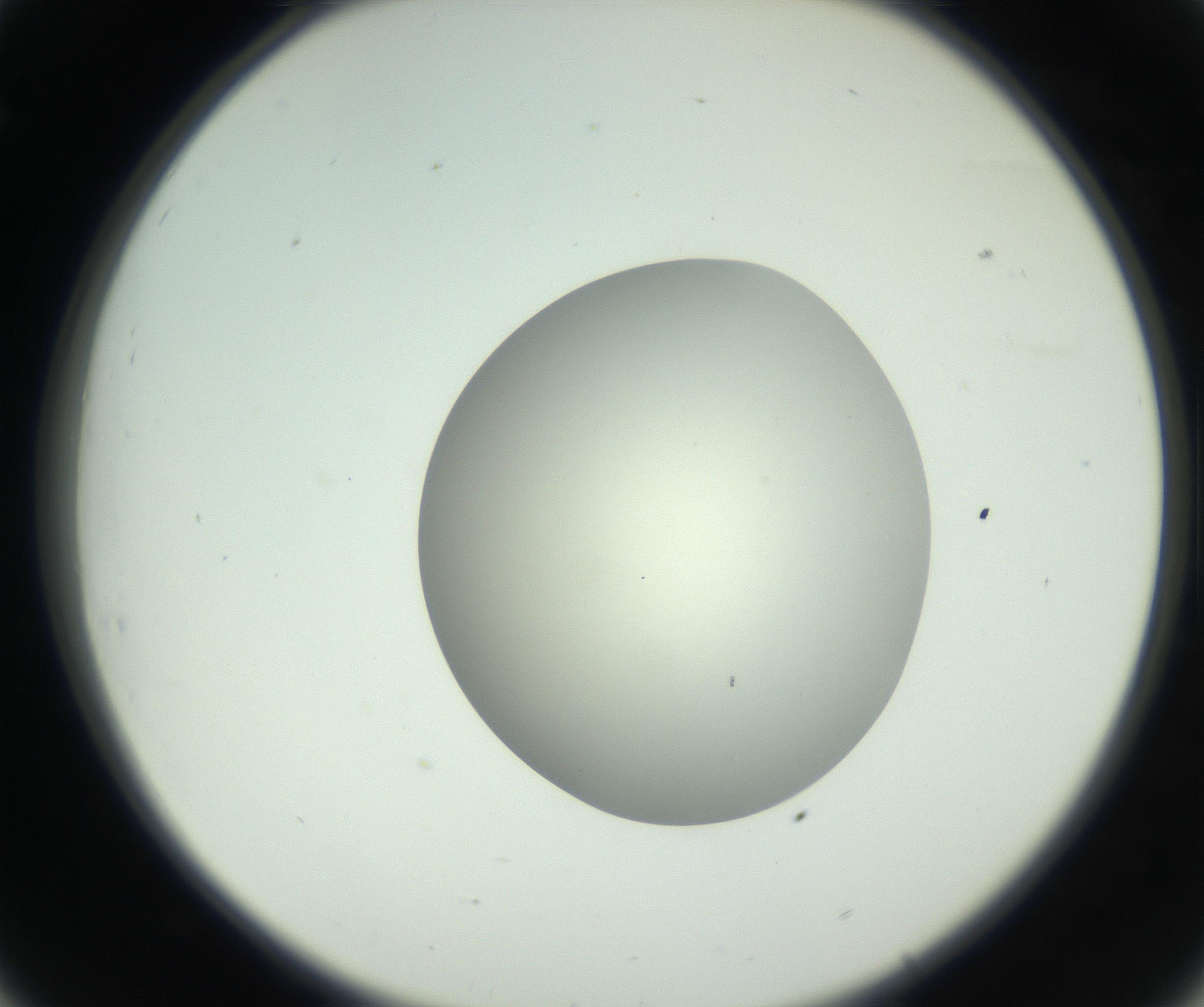 RI01_03_000_0212_Proj1_Clon1_MC_0000MC102736_004_160921_08_03_02_00_99_002_001_RAI.jpg