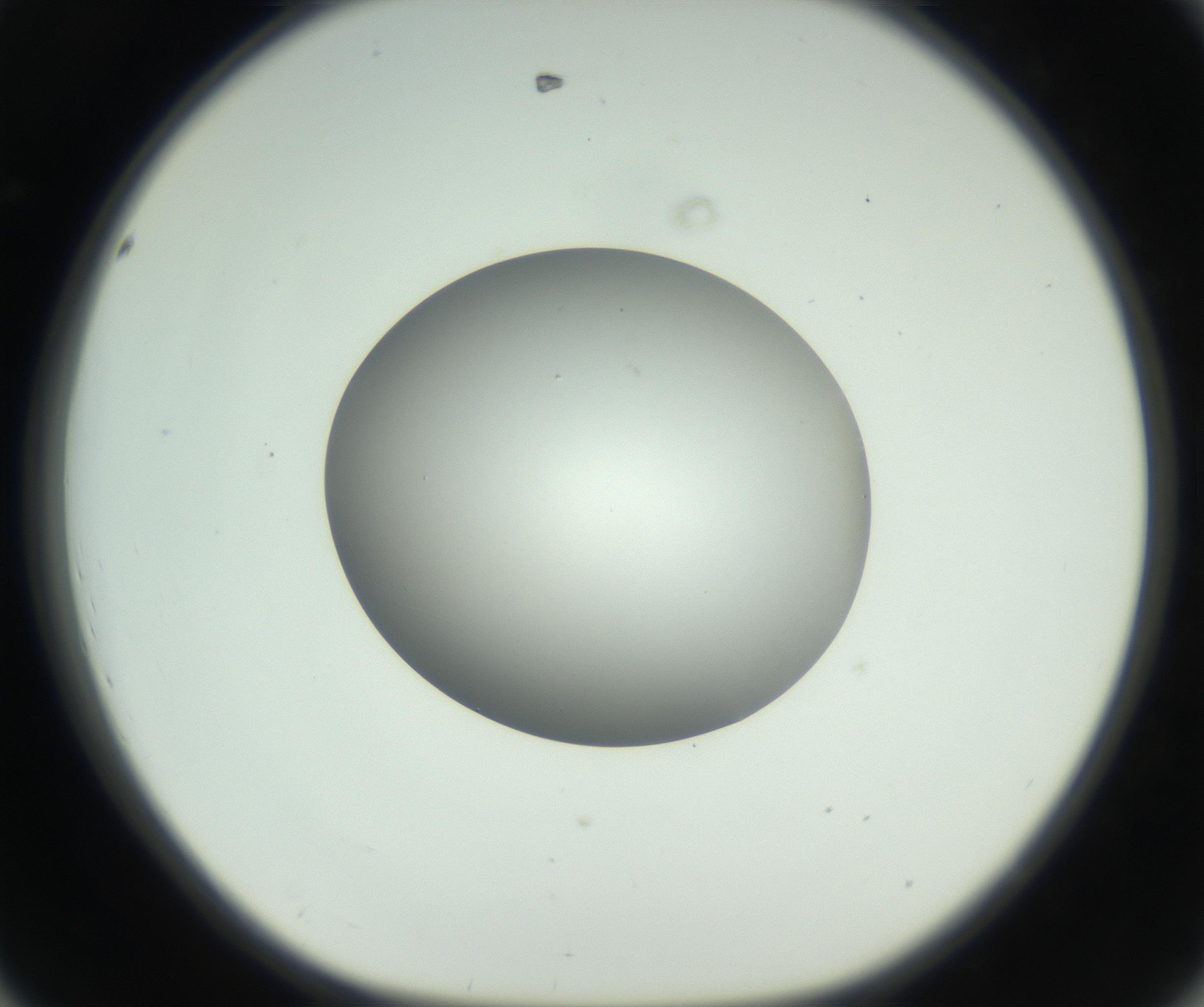 RI01_03_000_0212_Proj1_Clon1_MC_0000MC102736_004_160921_08_04_01_00_99_002_001_RAI.jpg