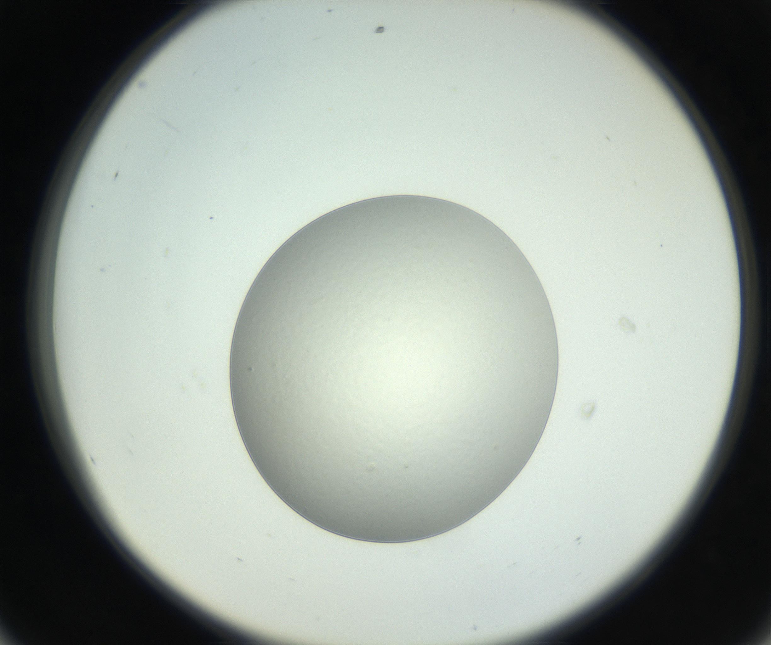 RI01_03_000_0212_Proj1_Clon1_MC_0000MC102736_004_160921_08_05_02_00_99_002_001_RAI.jpg