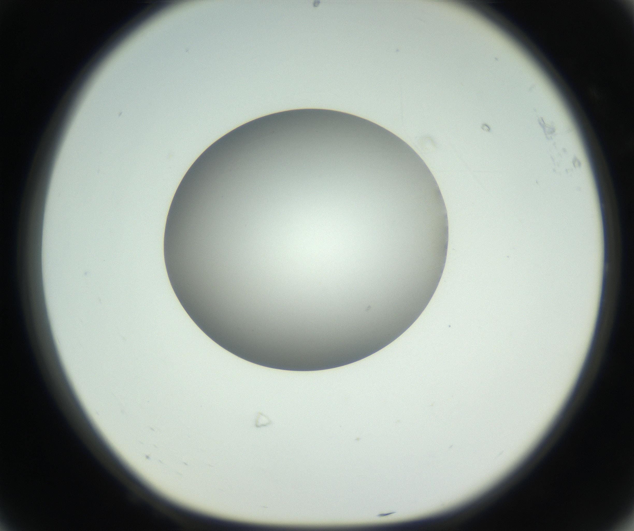 RI01_03_000_0212_Proj1_Clon1_MC_0000MC102736_004_160921_08_06_01_00_99_002_001_RAI.jpg
