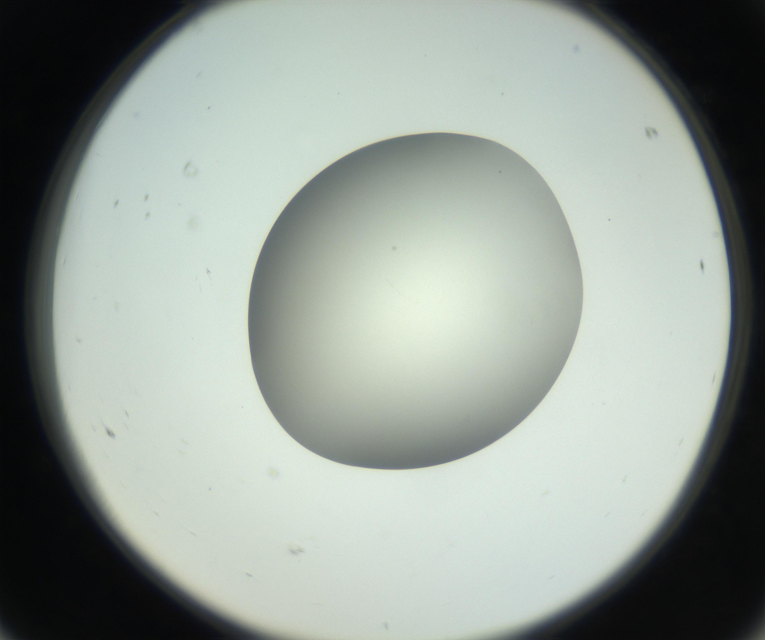 RI01_03_000_0212_Proj1_Clon1_MC_0000MC102736_004_160921_08_06_02_00_99_002_001_RAI.jpg