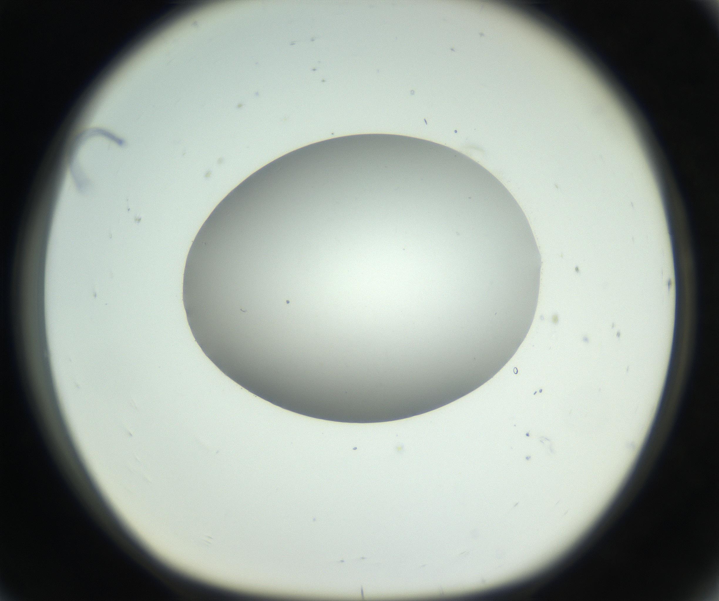 RI01_03_000_0212_Proj1_Clon1_MC_0000MC102736_004_160921_08_07_01_00_99_002_001_RAI.jpg