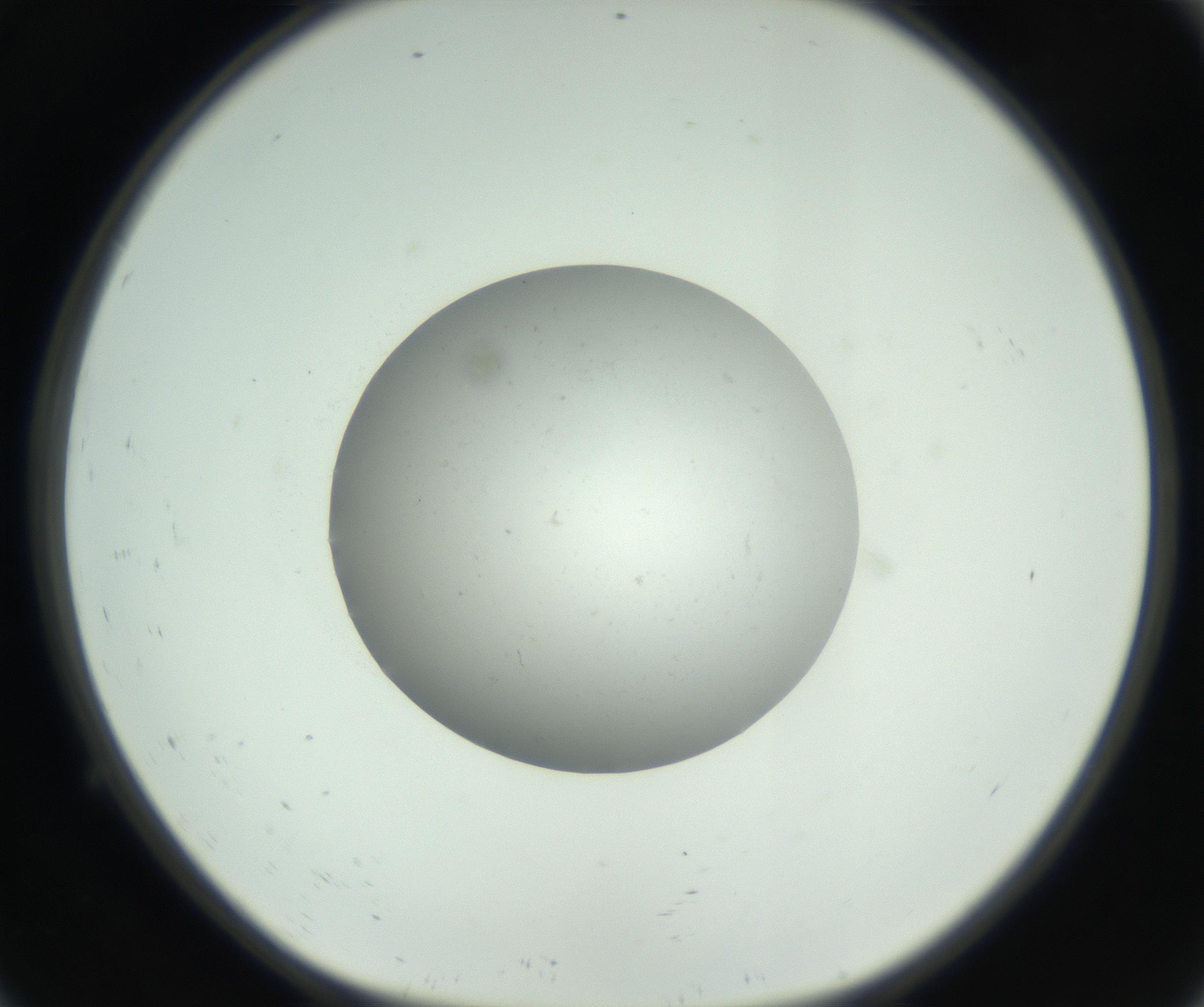 RI01_03_000_0212_Proj1_Clon1_MC_0000MC102736_004_160921_09_01_01_00_99_002_001_RAI.jpg