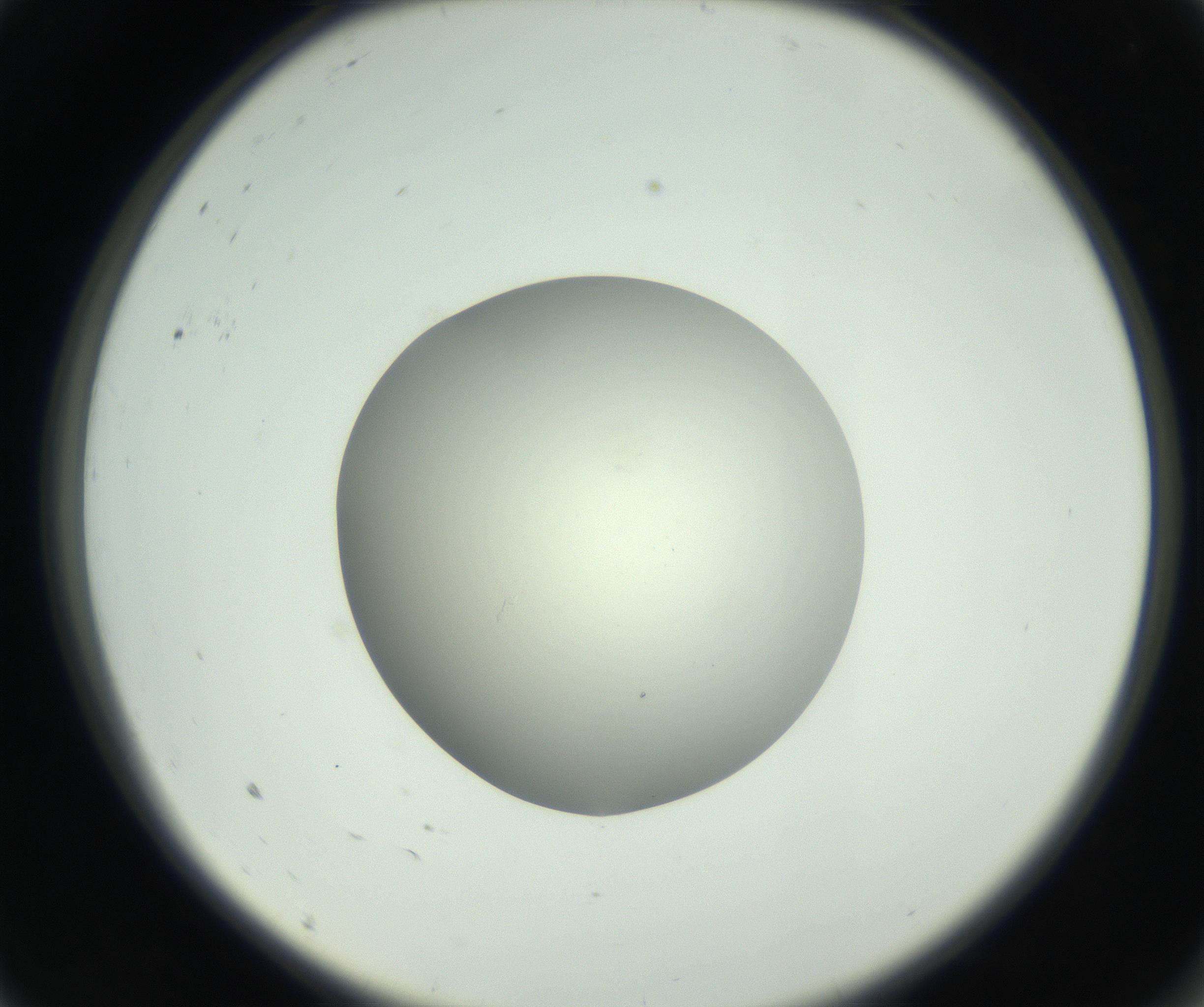 RI01_03_000_0212_Proj1_Clon1_MC_0000MC102736_004_160921_09_01_02_00_99_002_001_RAI.jpg