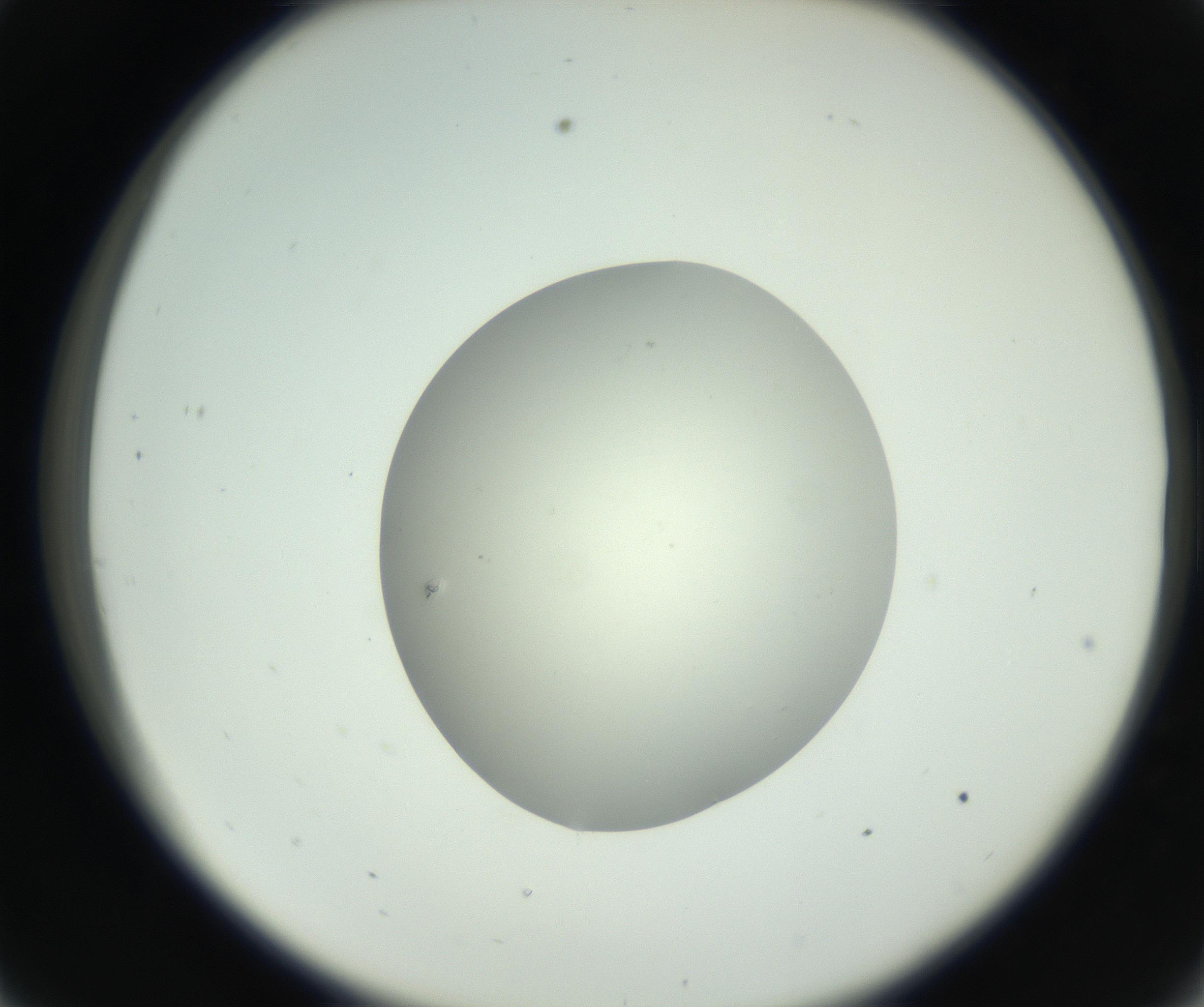 RI01_03_000_0212_Proj1_Clon1_MC_0000MC102736_004_160921_09_03_02_00_99_002_001_RAI.jpg
