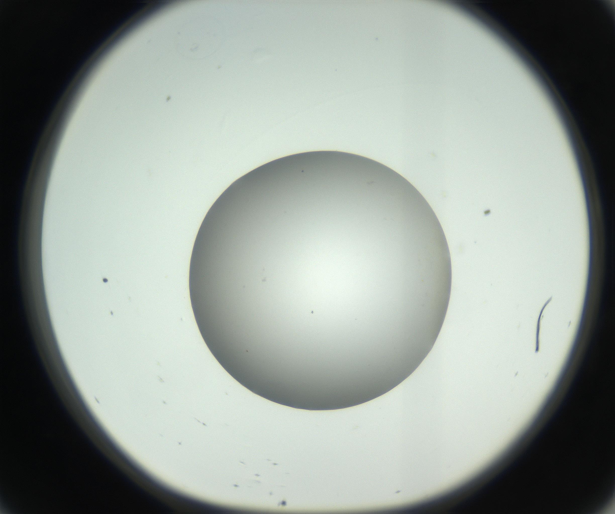 RI01_03_000_0212_Proj1_Clon1_MC_0000MC102736_004_160921_09_05_01_00_99_002_001_RAI.jpg