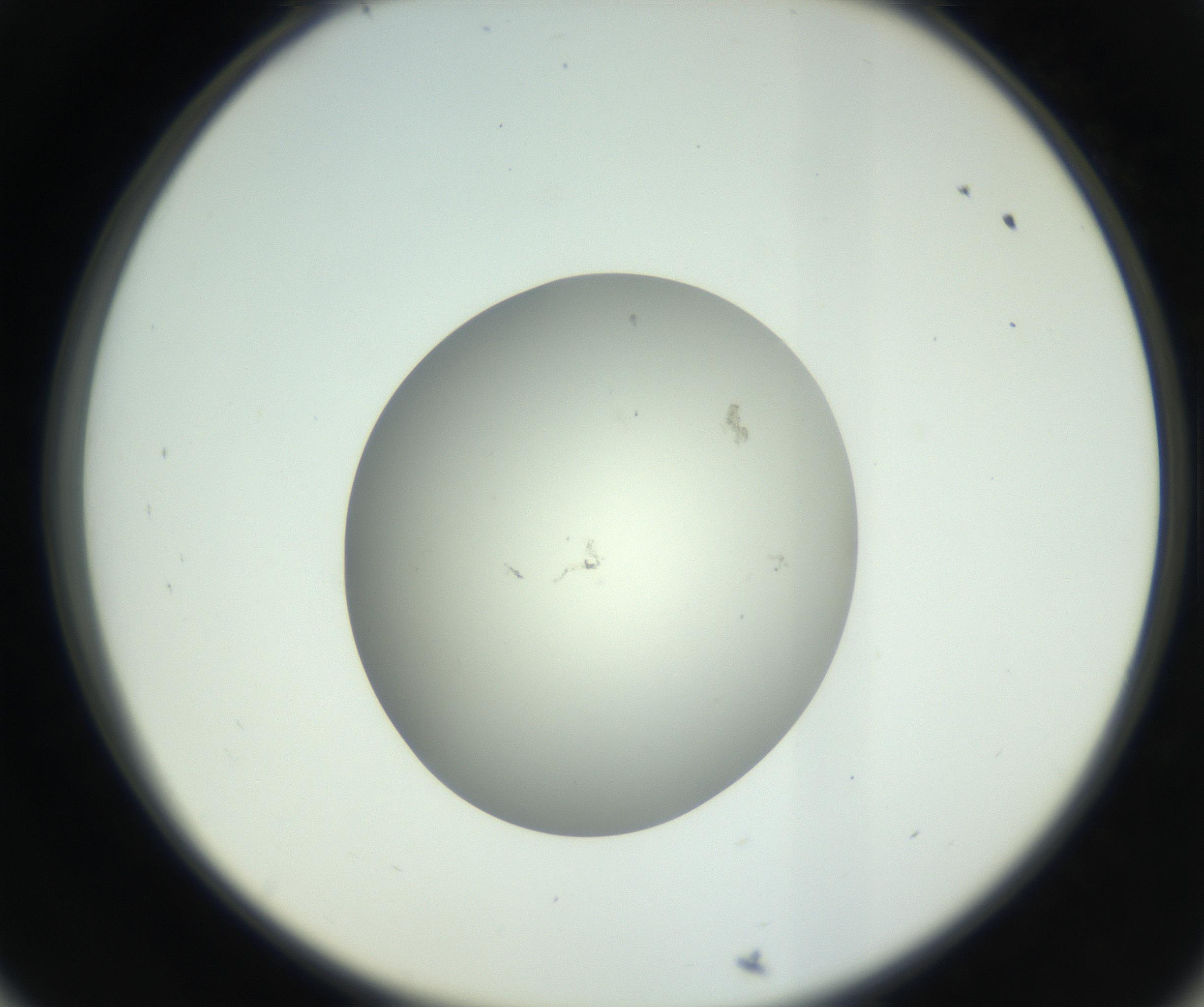 RI01_03_000_0212_Proj1_Clon1_MC_0000MC102736_004_160921_09_05_02_00_99_002_001_RAI.jpg